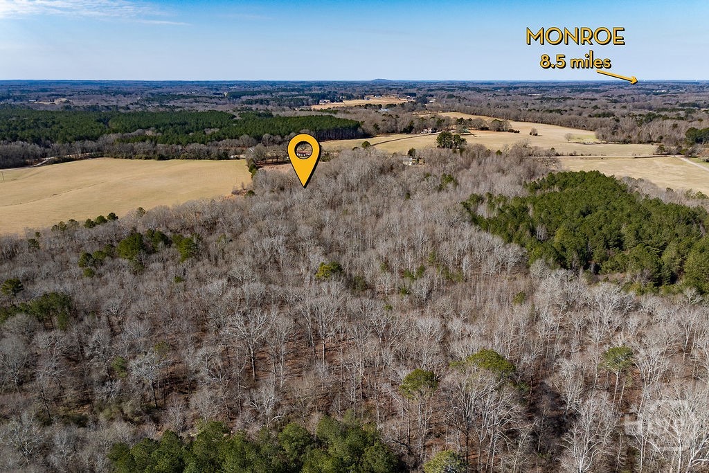 Homes for sale in Good Hope, GA | 2644 Nunnally Shoals Tract 2 Rd, Good Hope, GA 30641 | MLS# CL347749