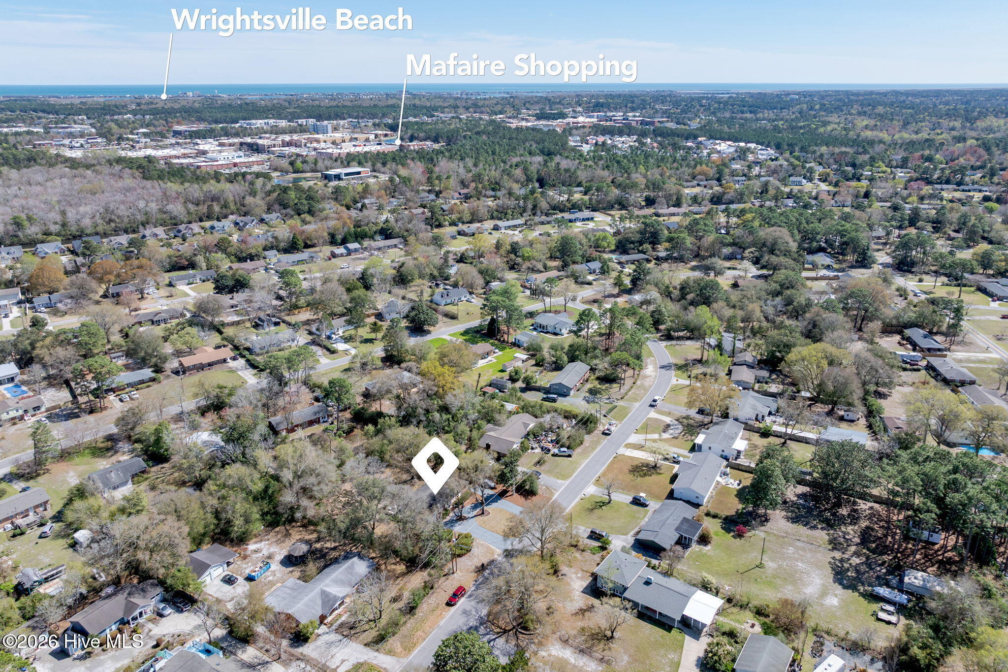 100561167 | Photo 44