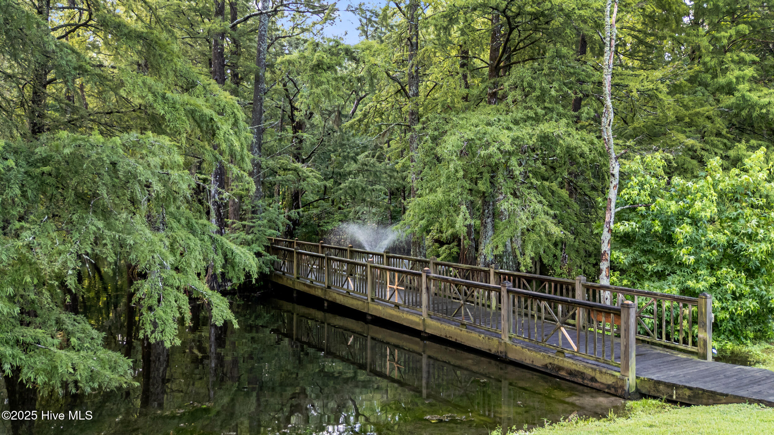 100518593 | Photo 67