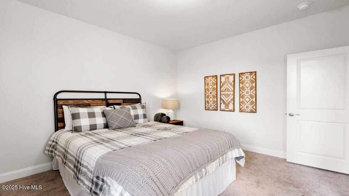 100559117 | Photo 28