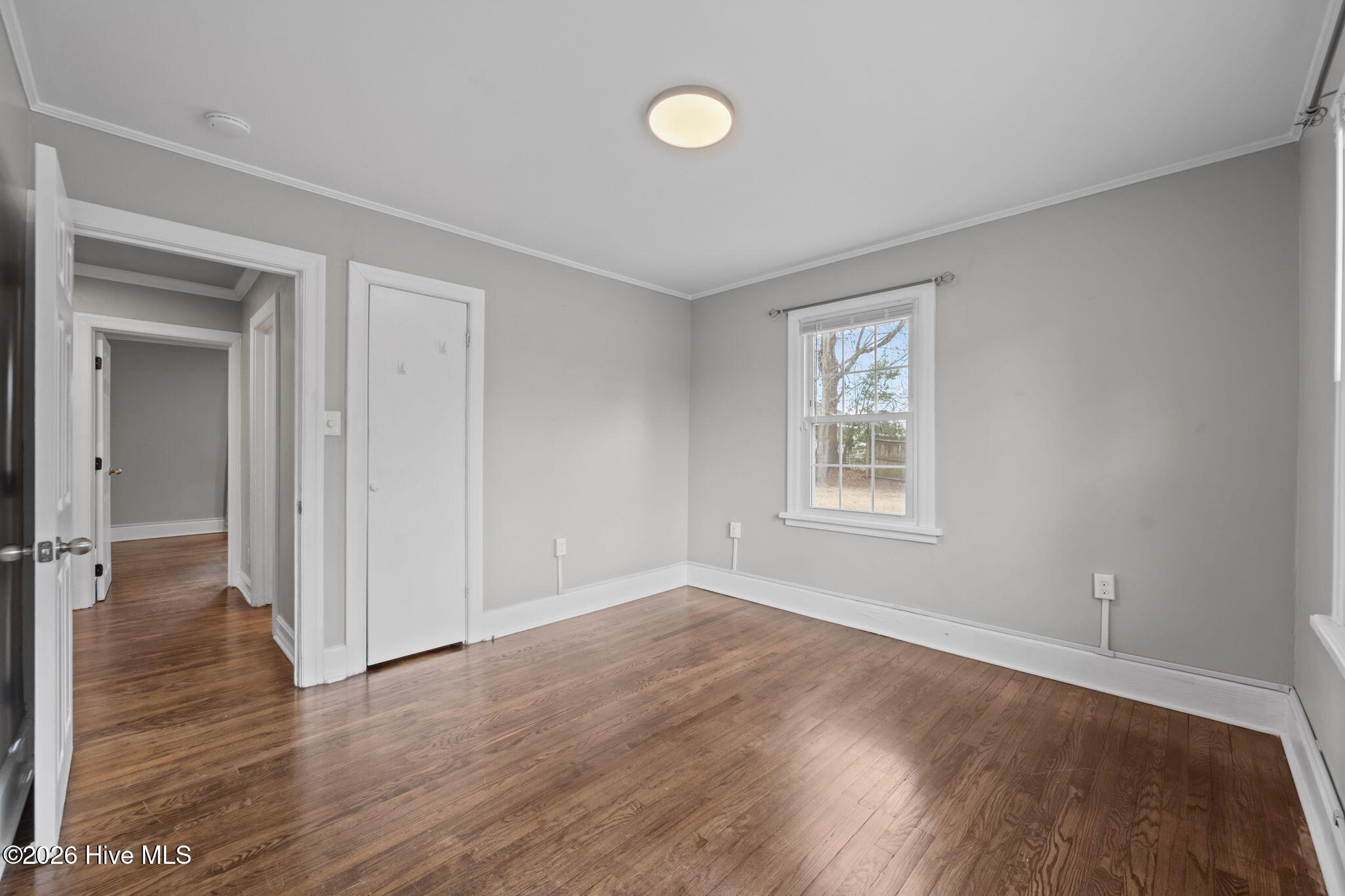 100555981 | Photo 24