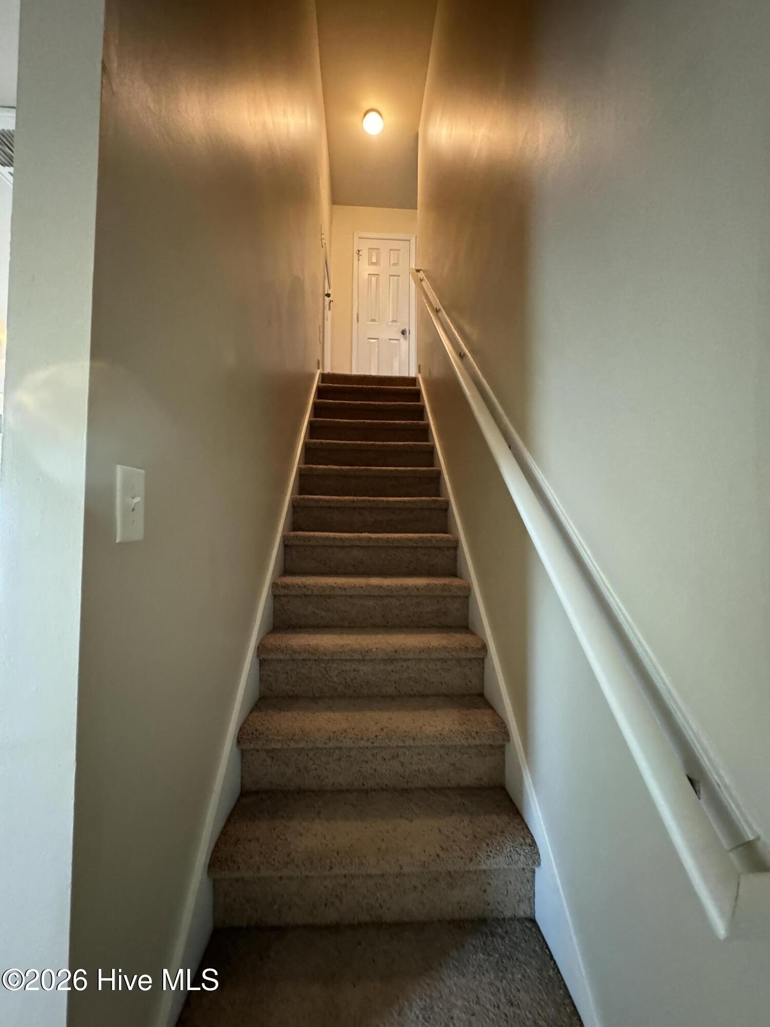 100567130 | Photo 16