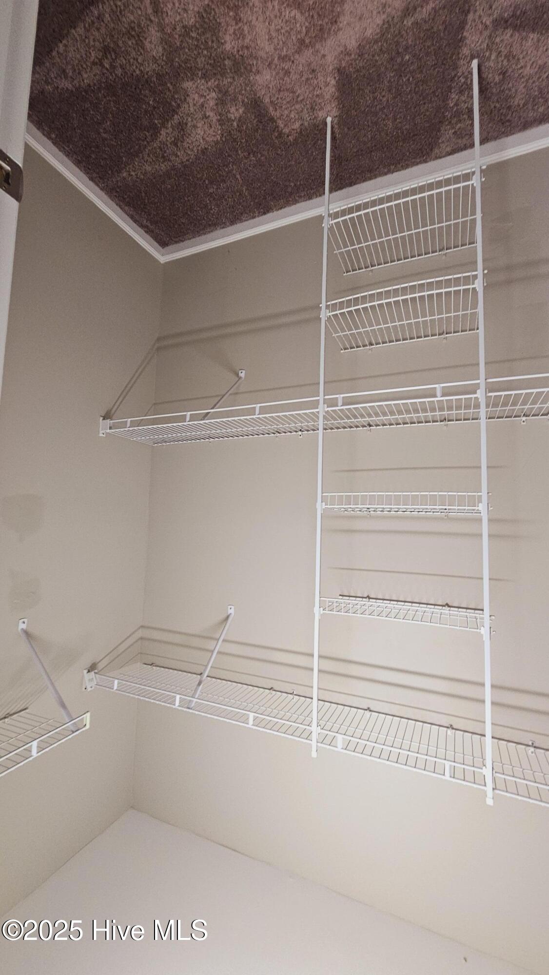 100568214 | Photo 13