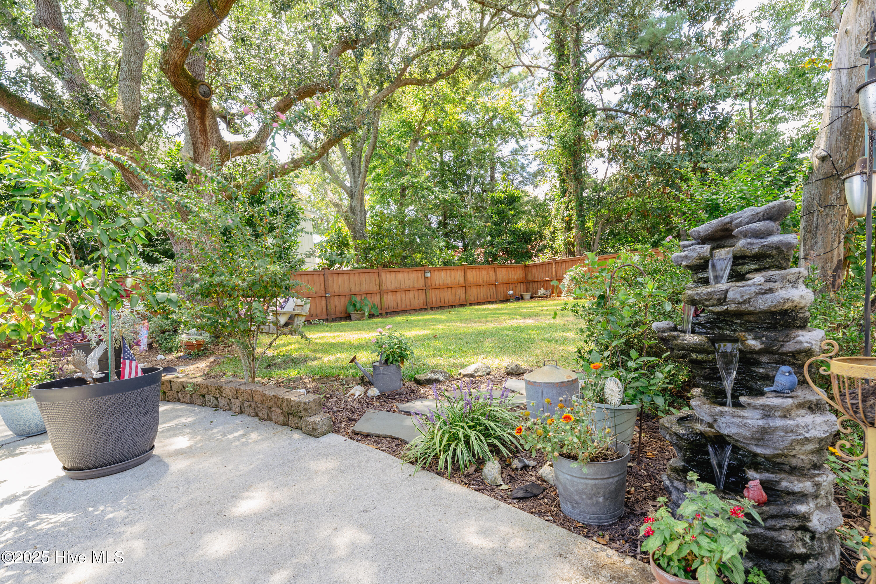 100557788 | Photo 29