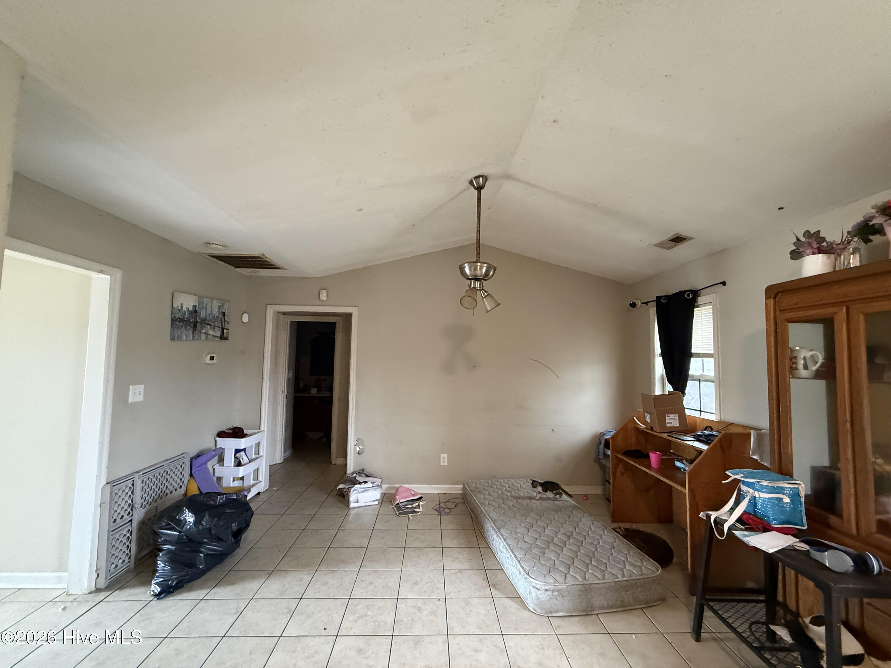 100562239 | Photo 19