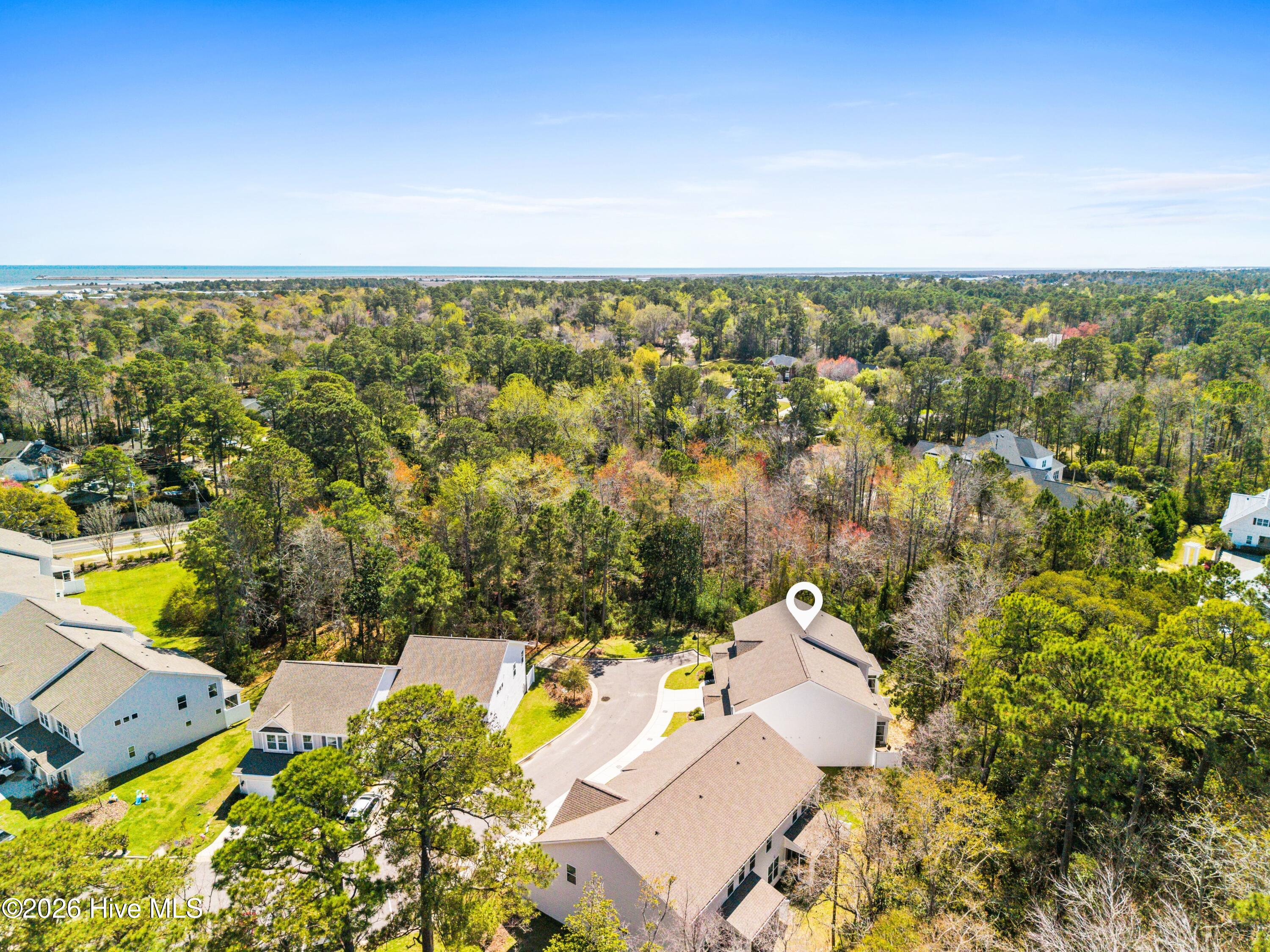 100561079 | Photo 46