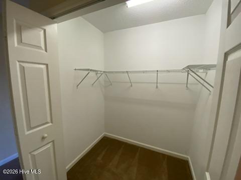 100554894 | Photo 11