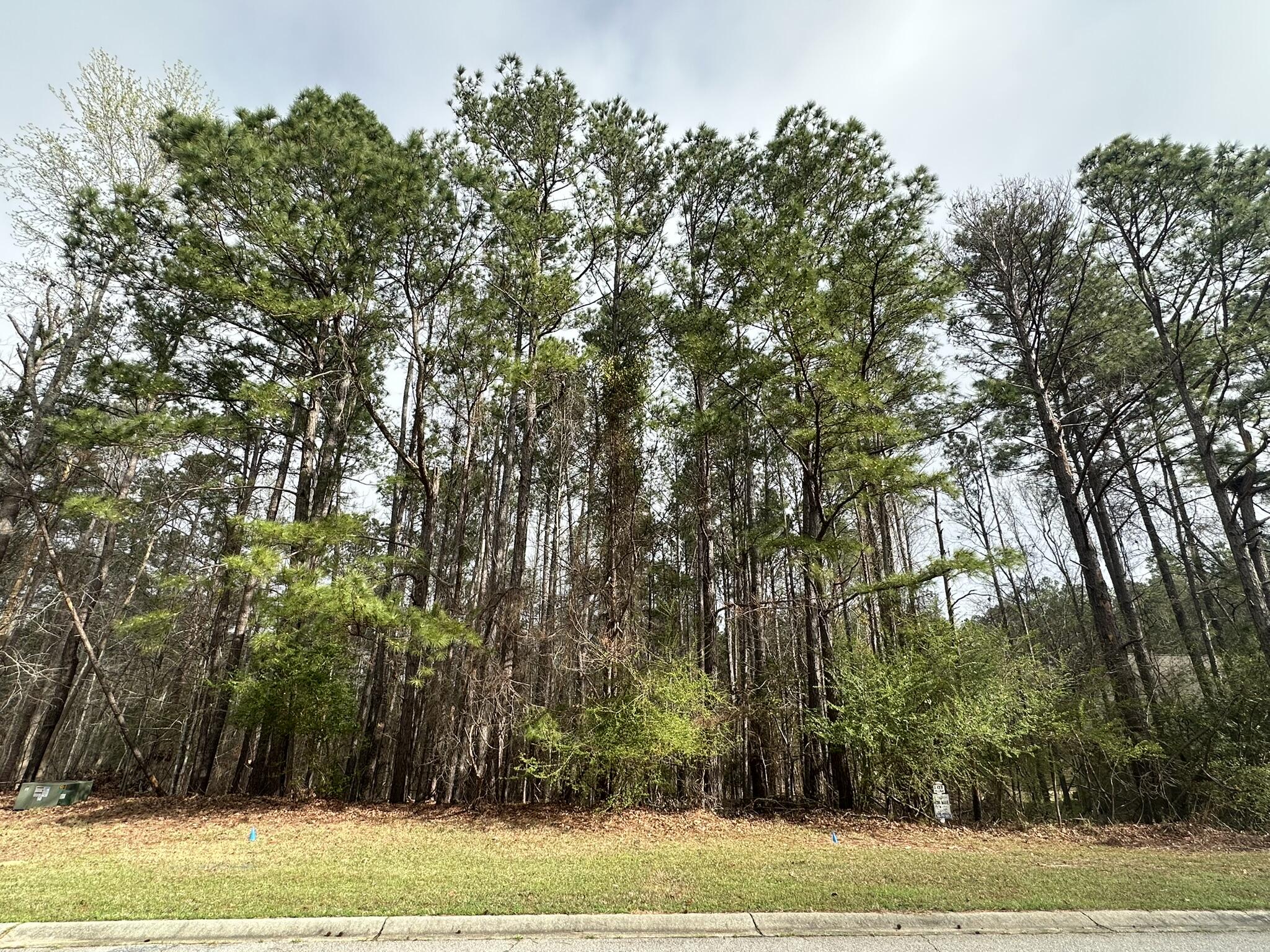 Homes for sale in North Augusta, SC | 1048 Longstreet Pl, North Augusta, SC 29860 | MLS# 553307