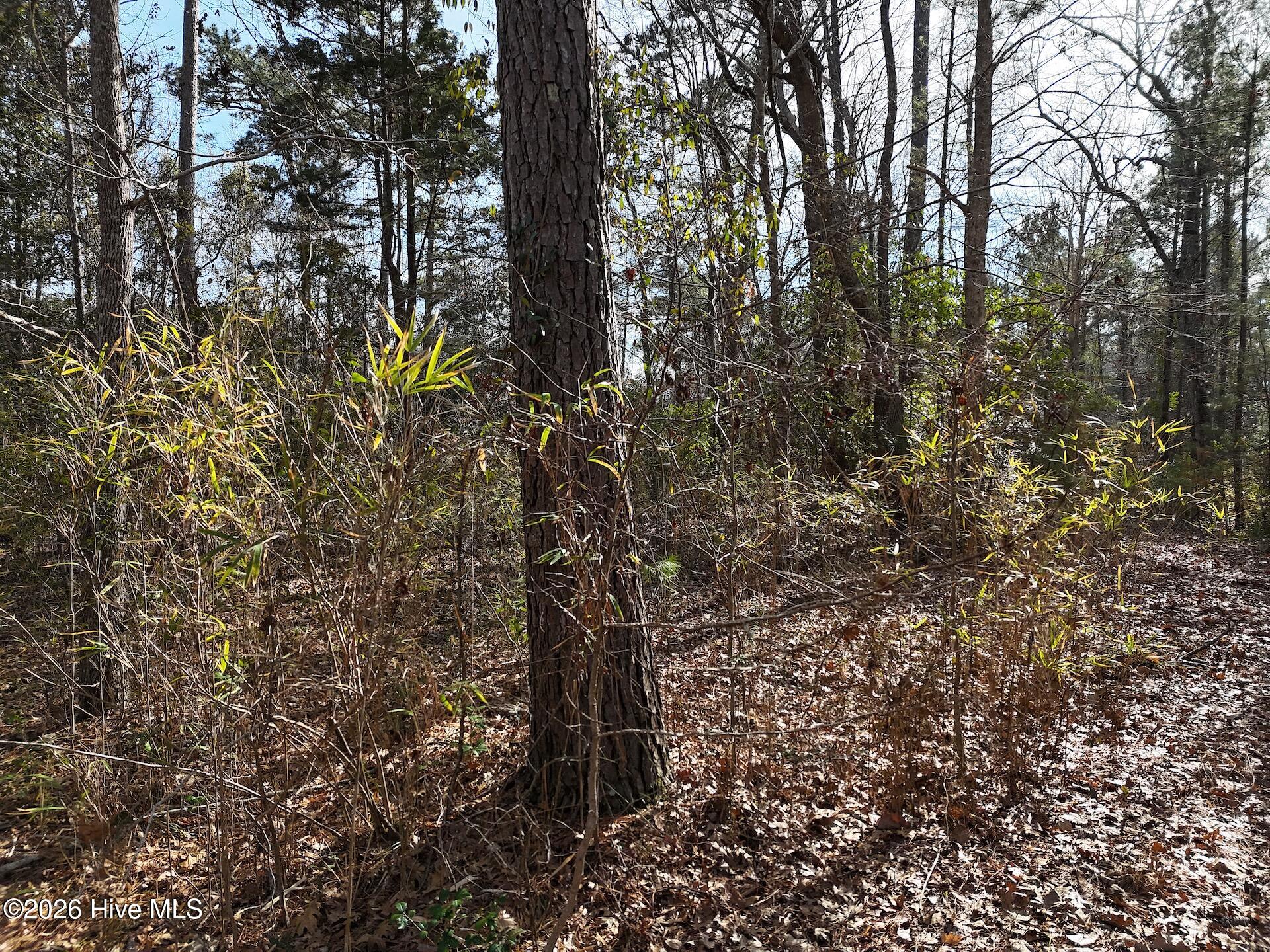 100556316 | Photo 11