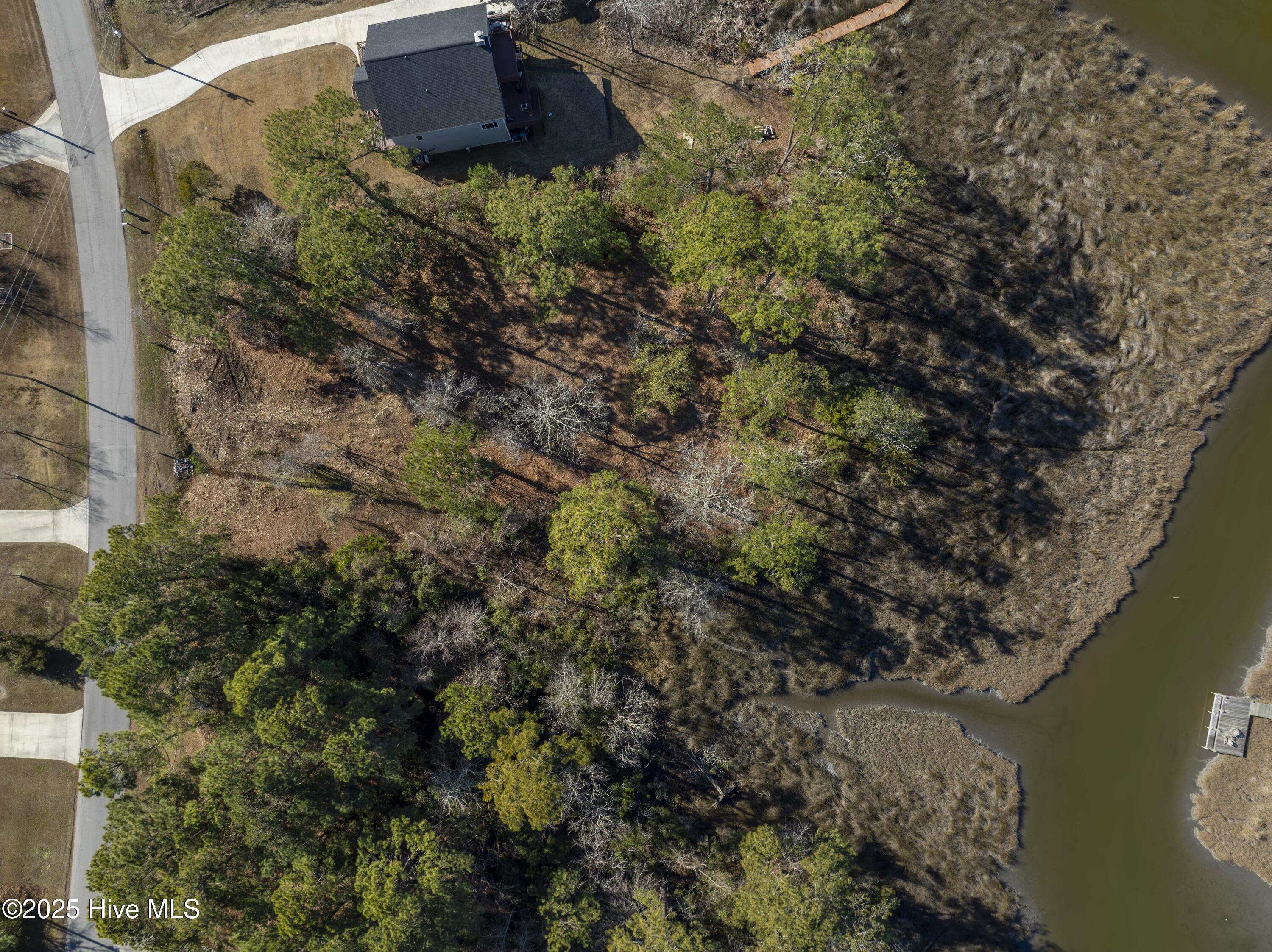 100559086 | Photo 29