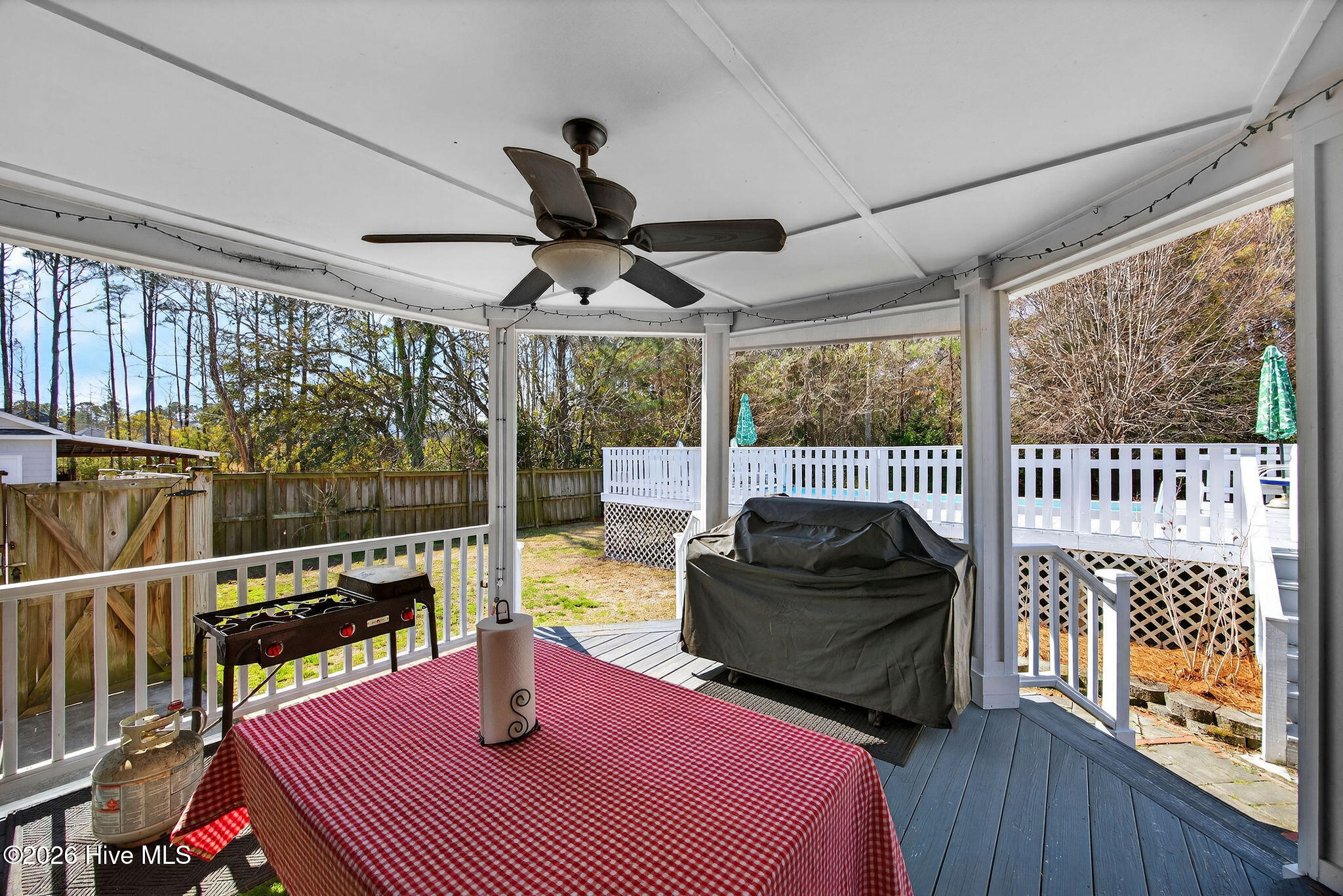 100554164 | Photo 16