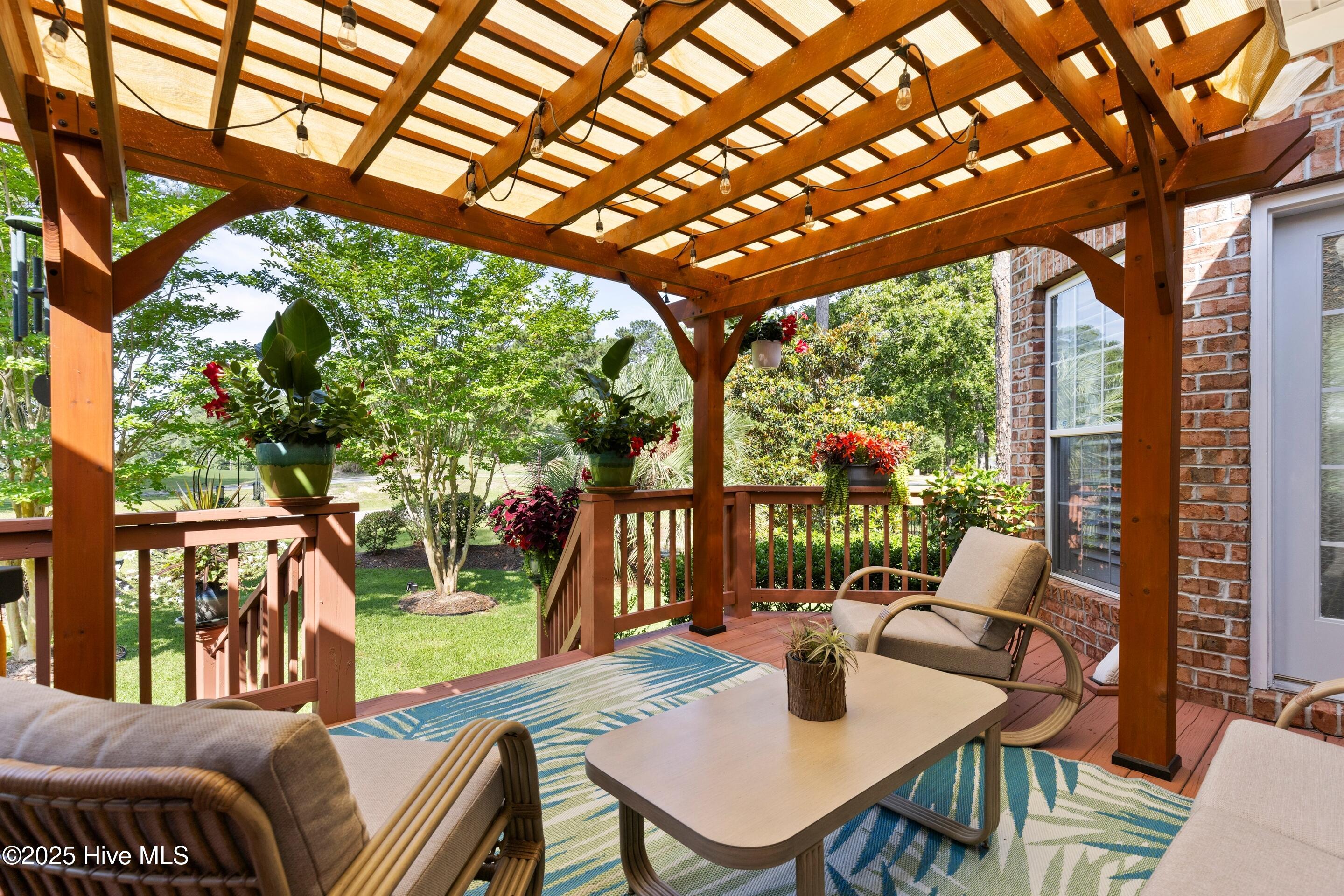 100536475 | Photo 32