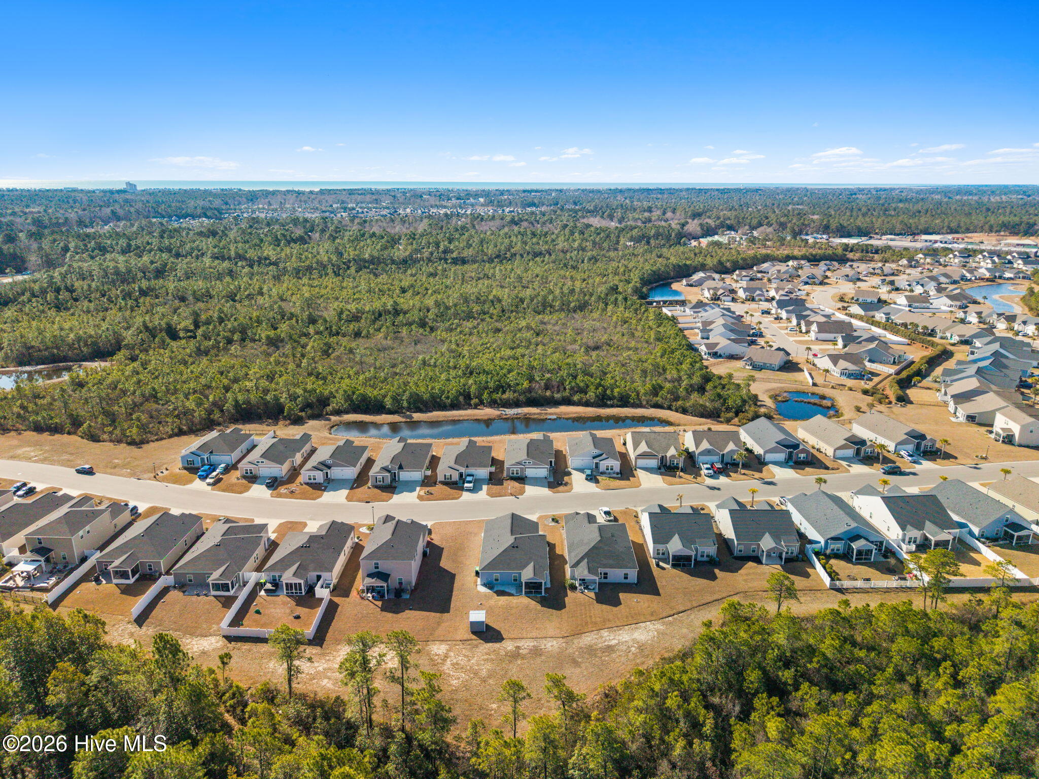 100553645 | Photo 33