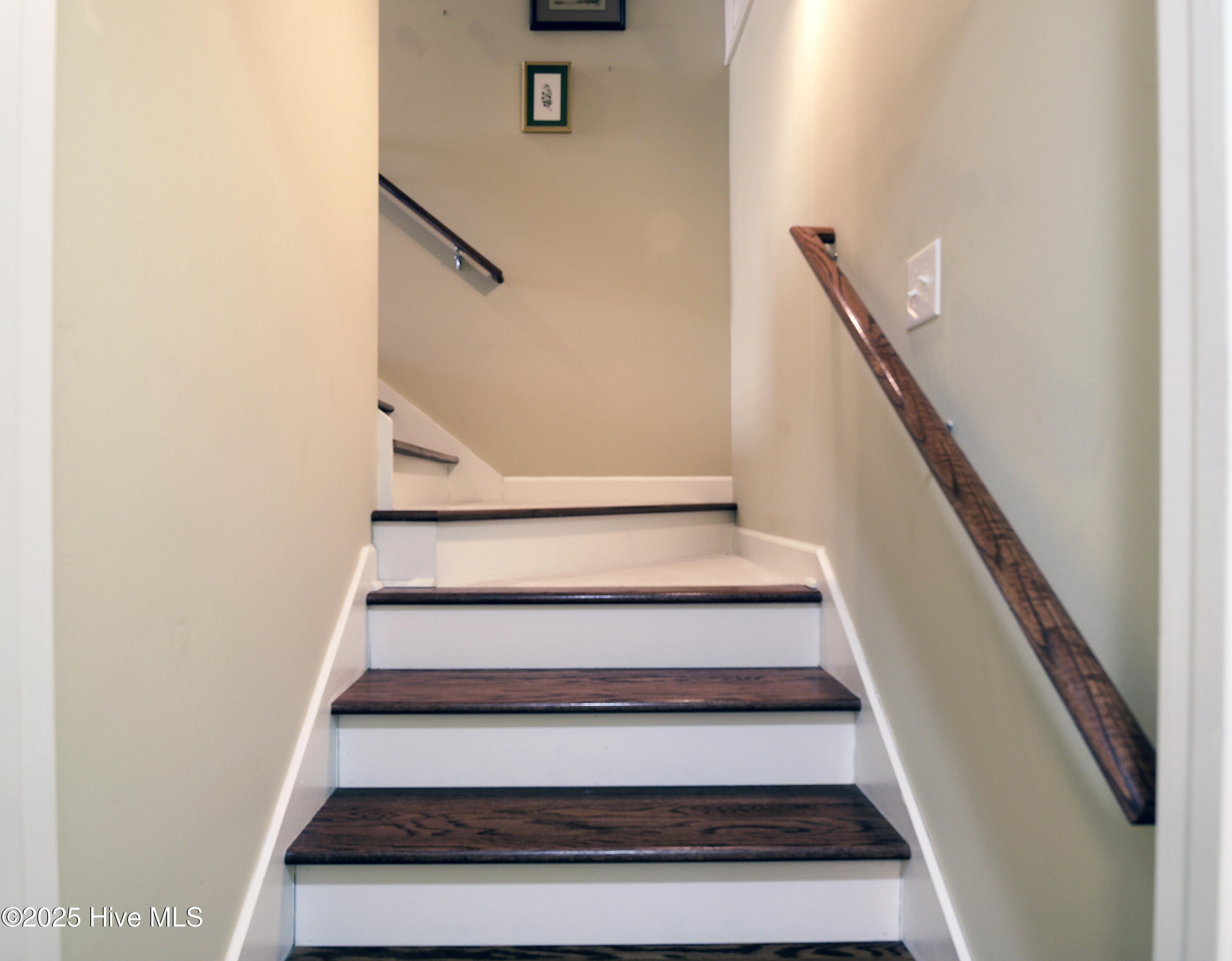 100547083 | Photo 24