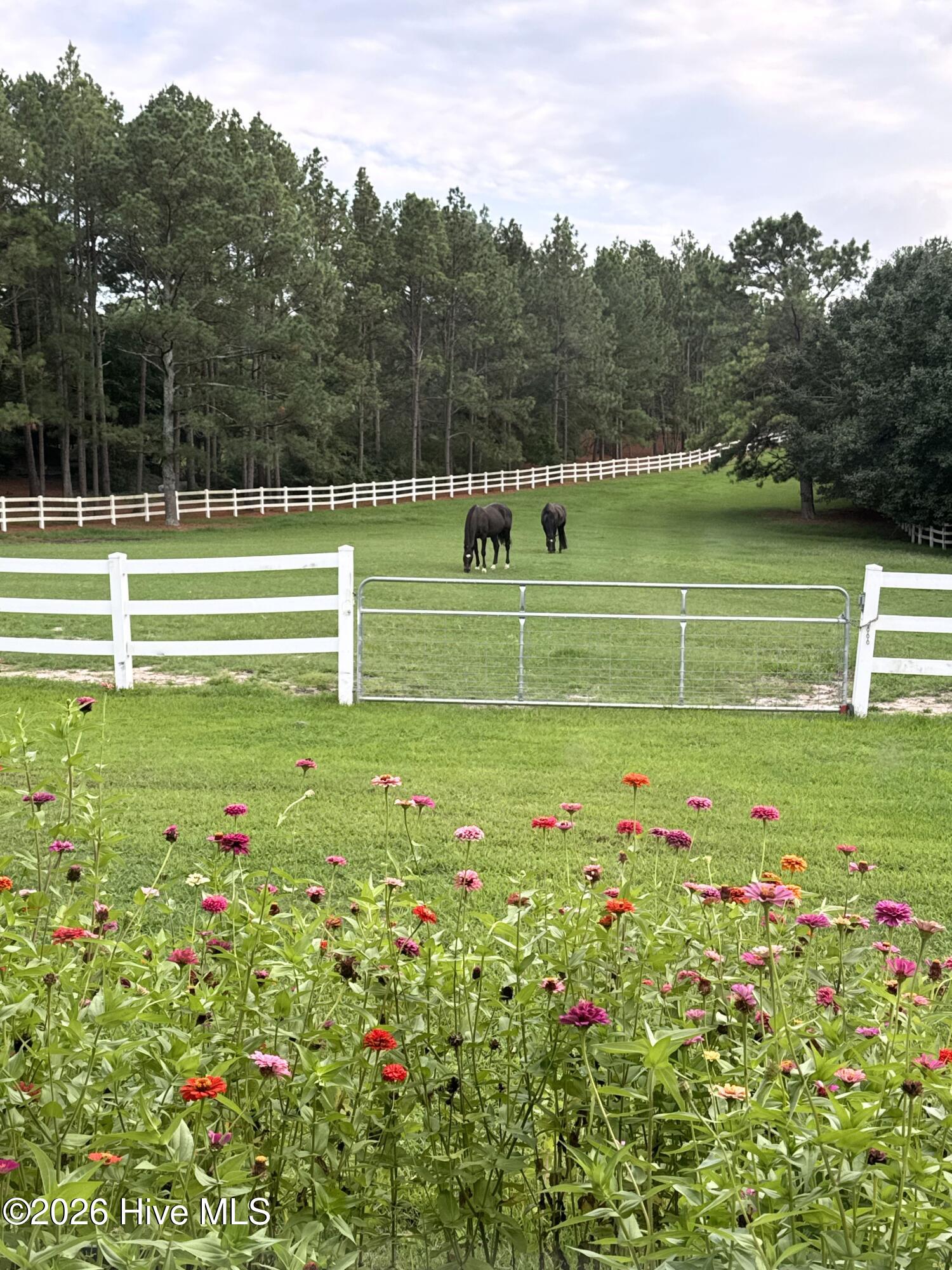 188 Shagbark Road, Seven Lakes, NC, 27376