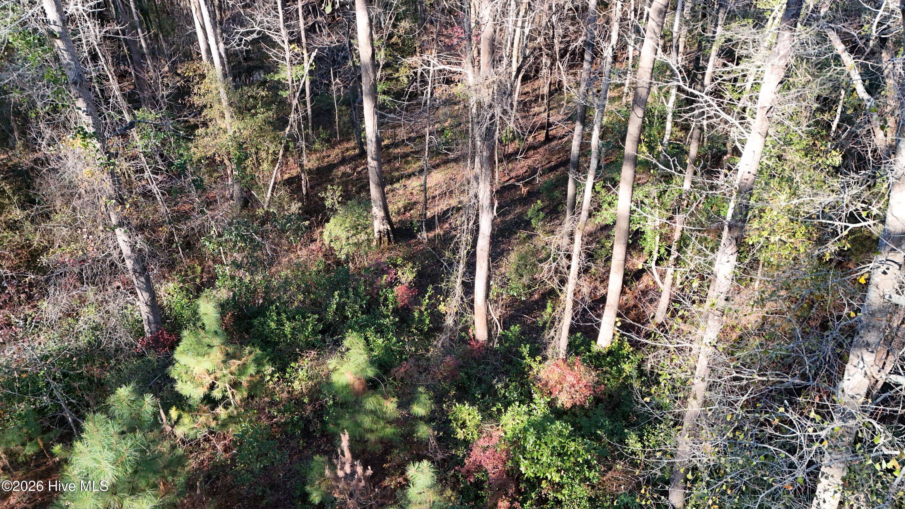 100556794 | Photo 29