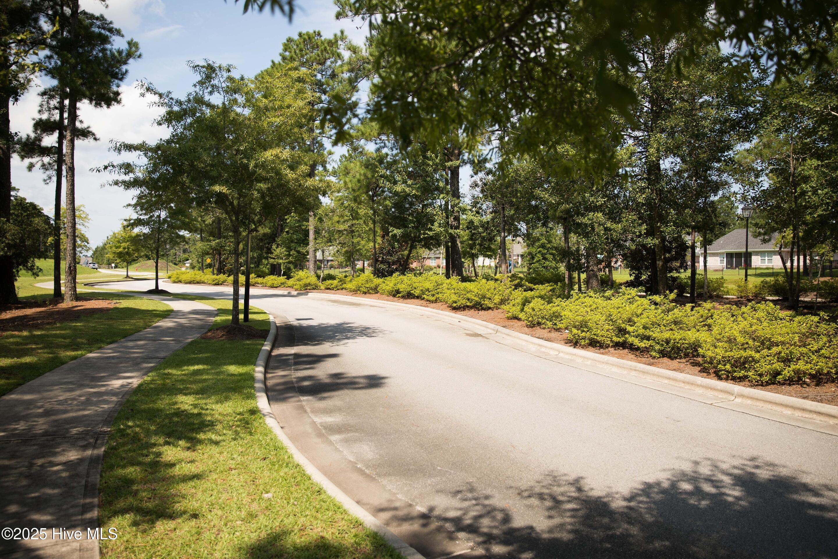 100527071 | Photo 47