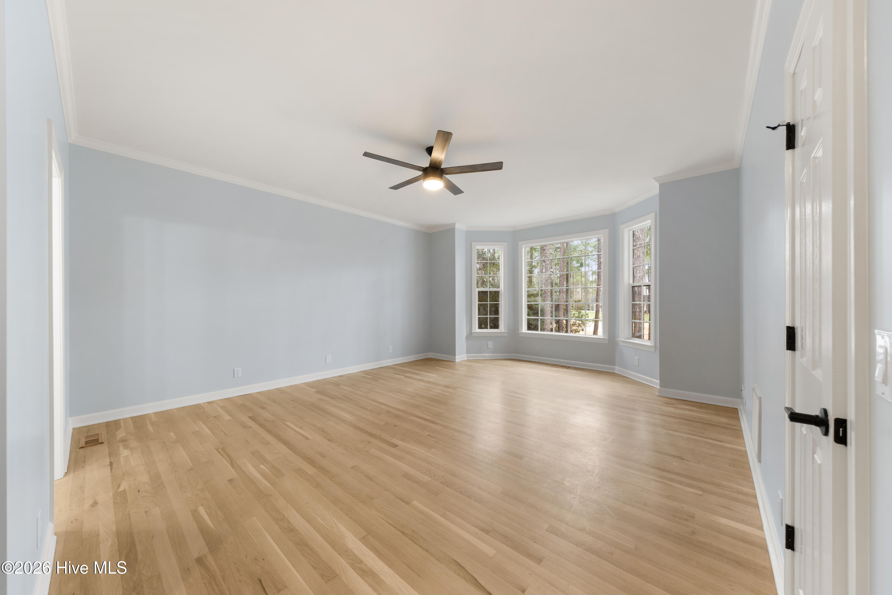 100555954 | Photo 32