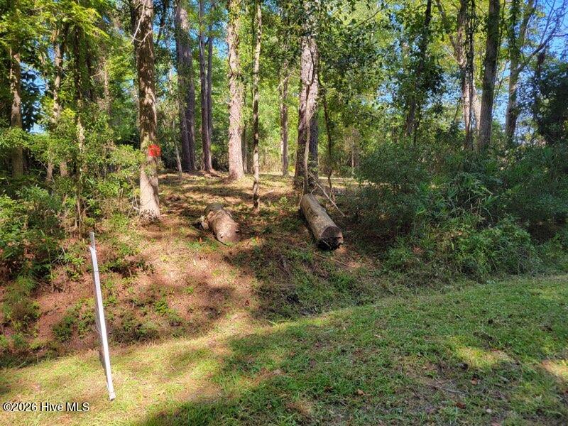 Photo 2 of Land for sale at 190 Cedar Crk Rd, Newport, NC 28570 | MLS# 100606657 | Listing updated on 2026-09-30