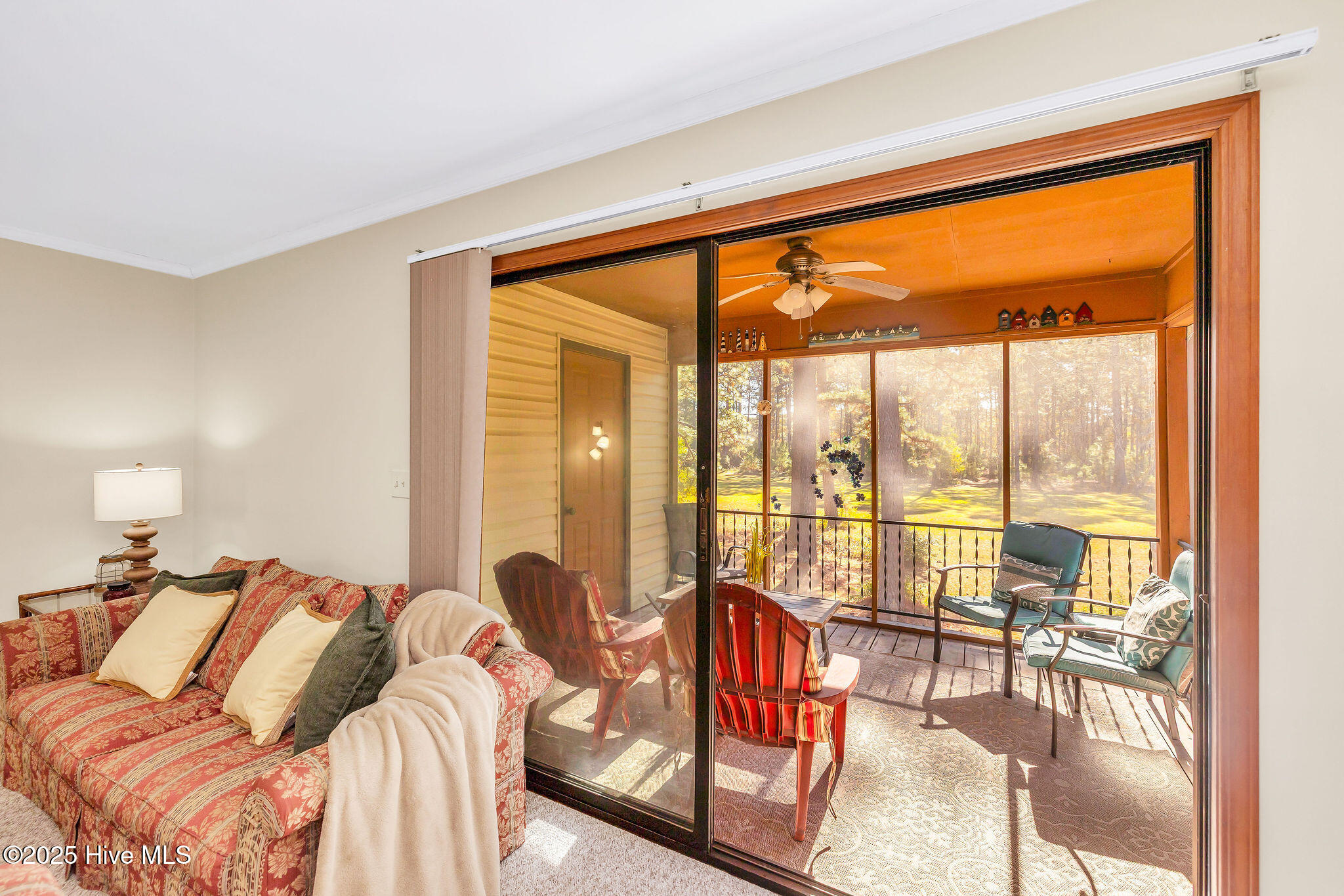 100541732 | Photo 24