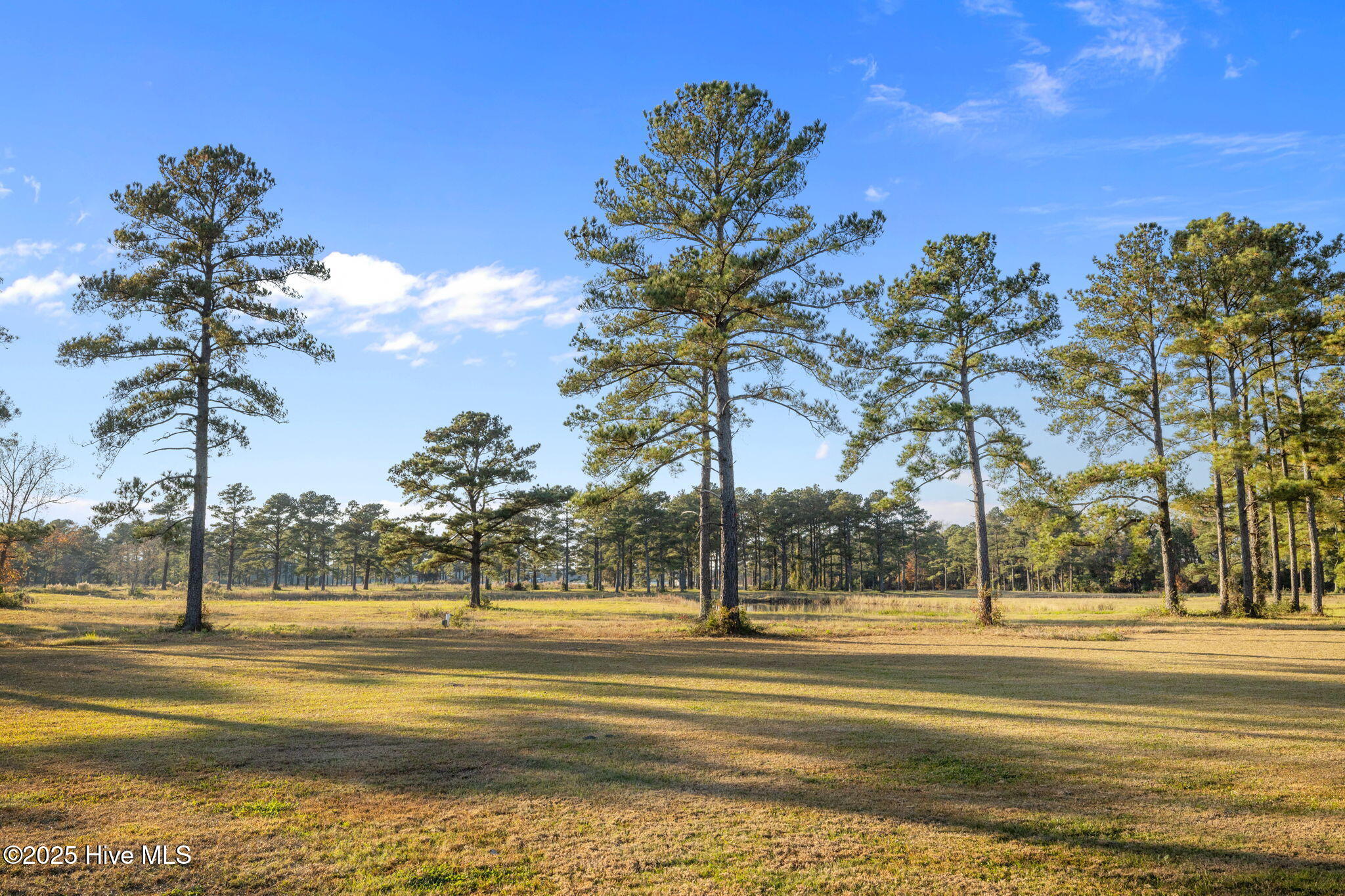 100542316 | Photo 28