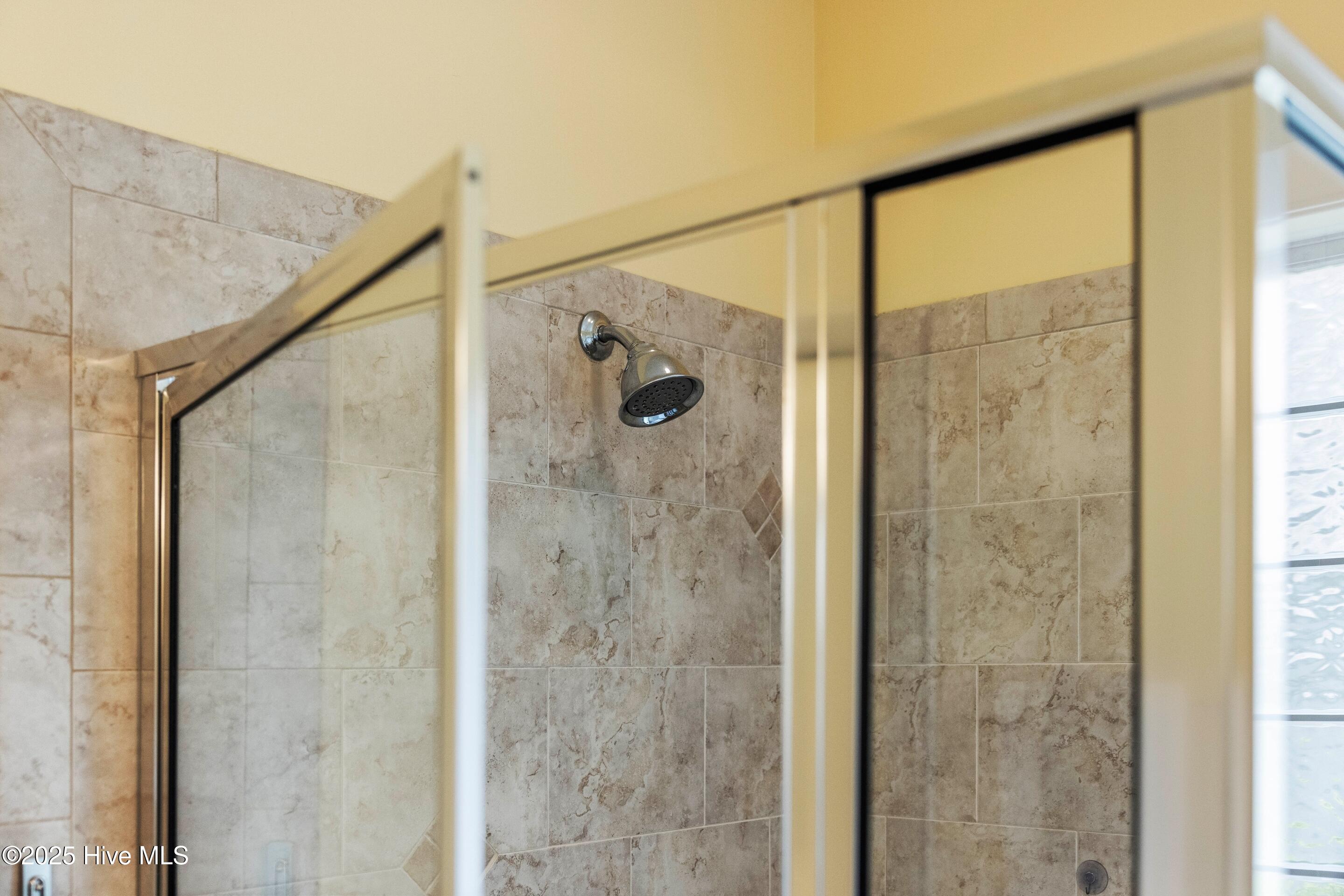 100514713 | Photo 32