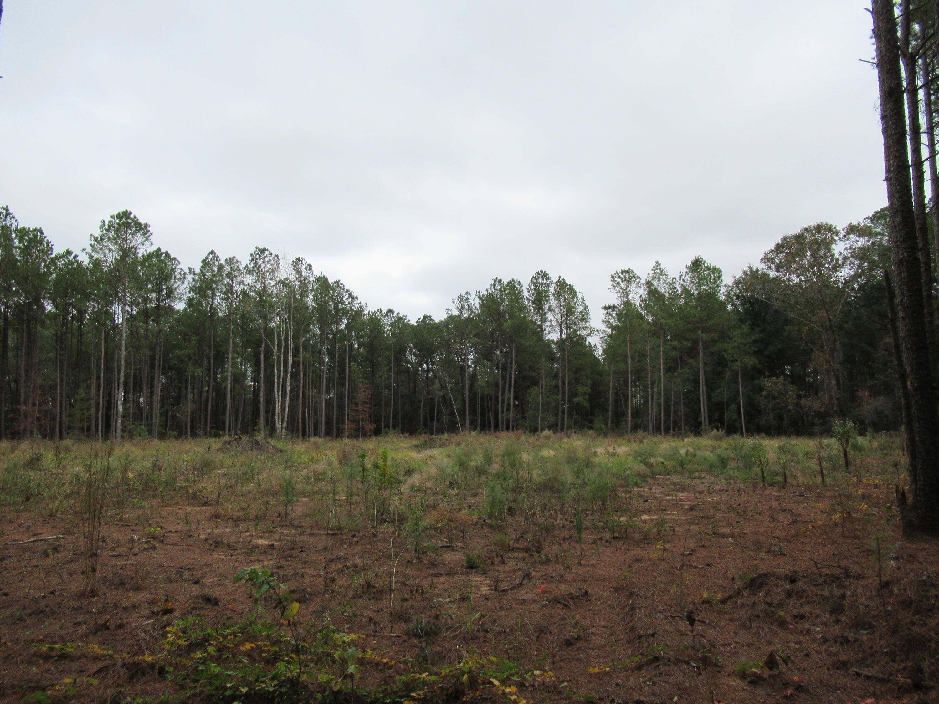 0 TWIN PINES RD., Keysville, GA, 30816