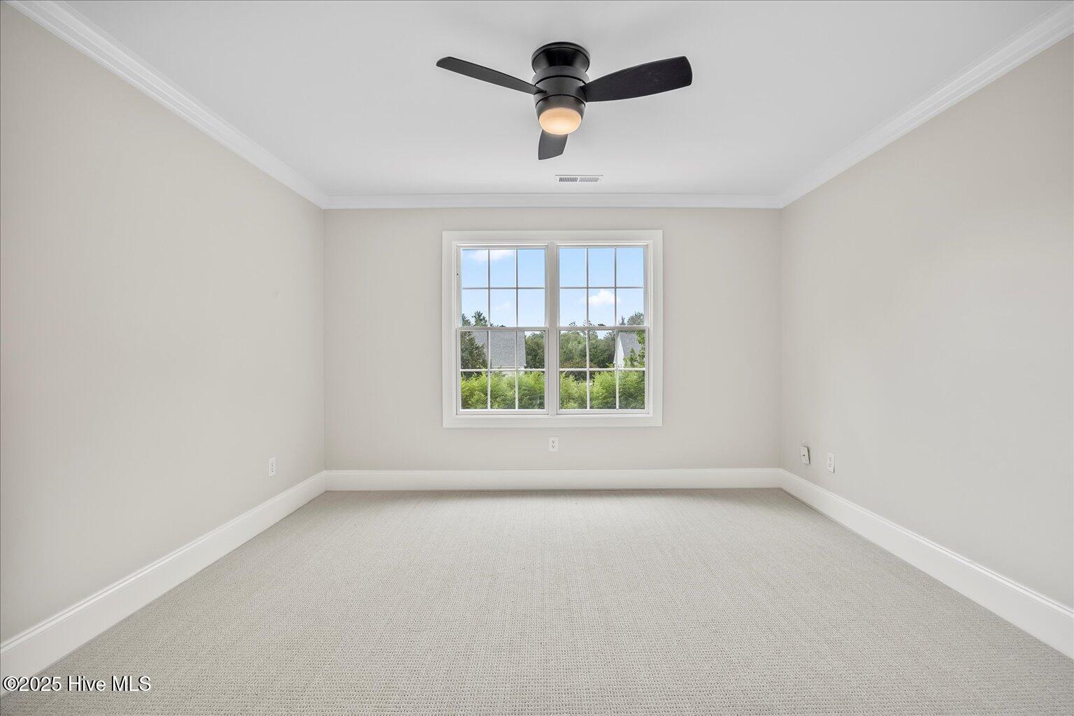 100536137 | Photo 30