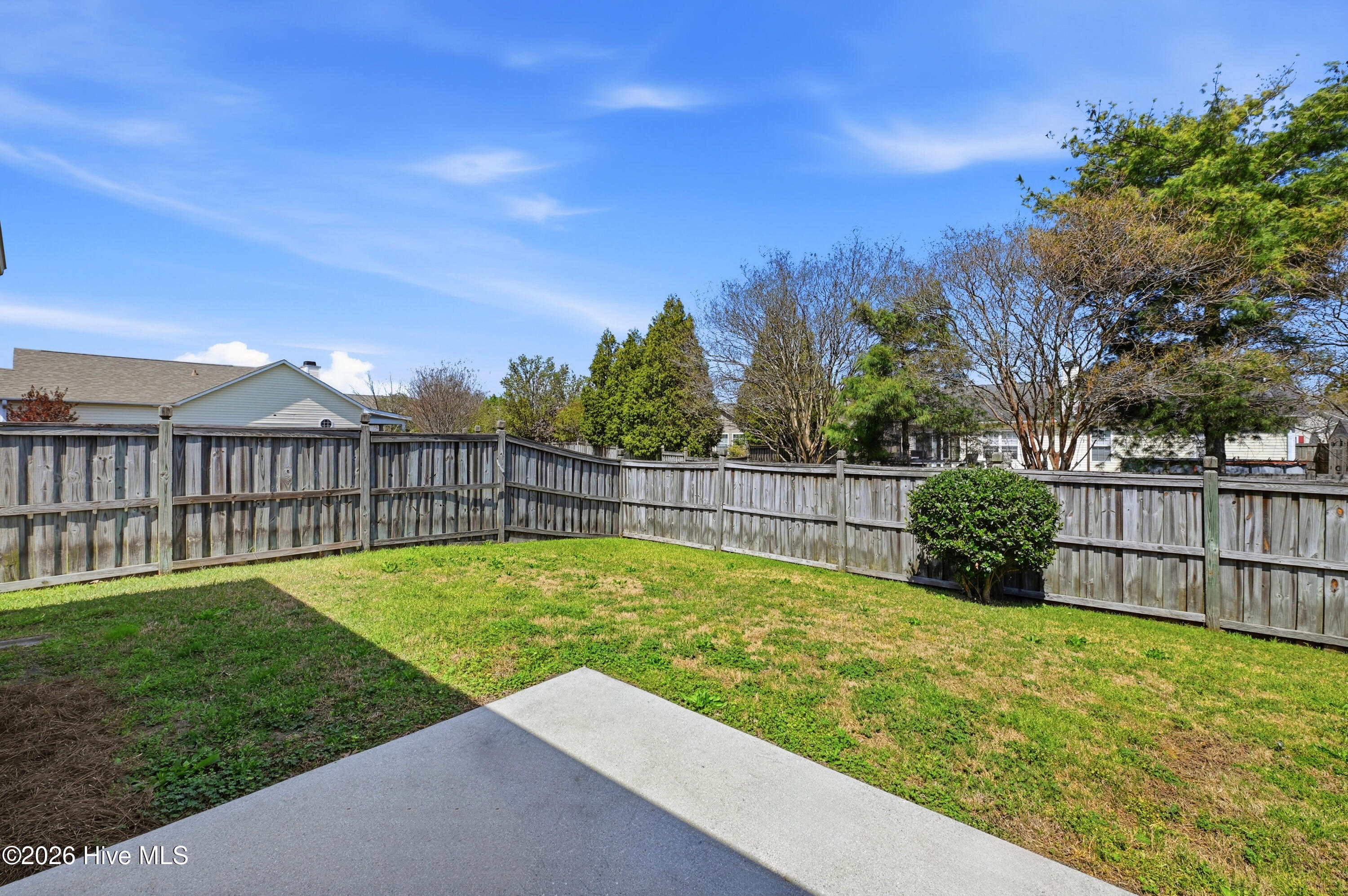 100564031 | Photo 30