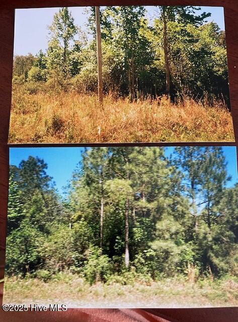 Homes for sale in Boiling Spring Lakes, NC | 1ac Drayton, Boiling Spring Lakes, NC 28461 | MLS# 100535895