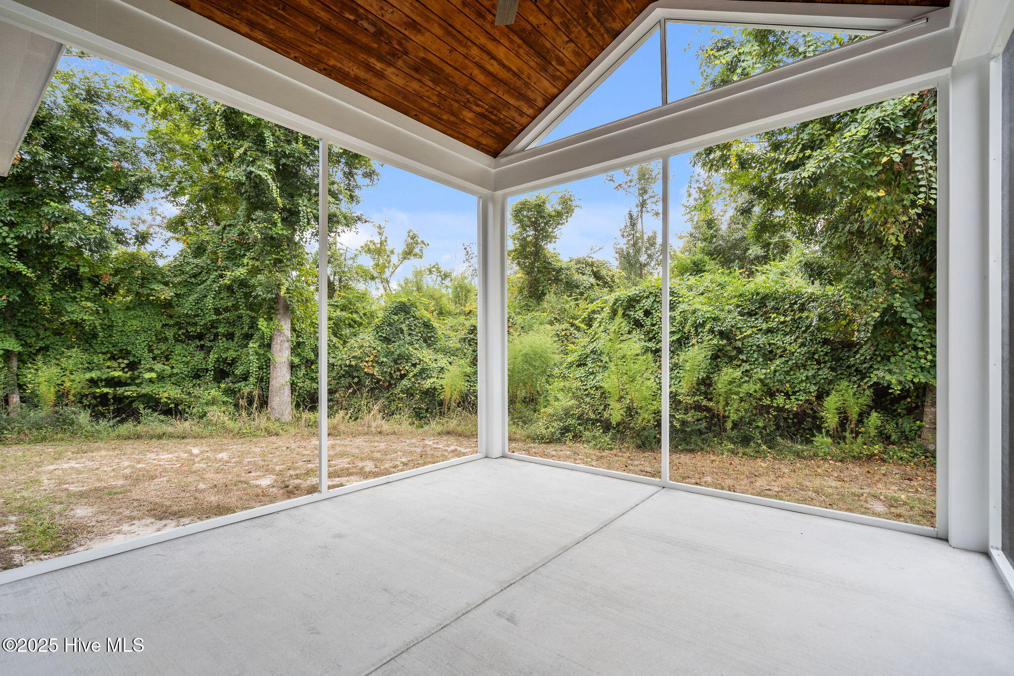 100532333 | Photo 128