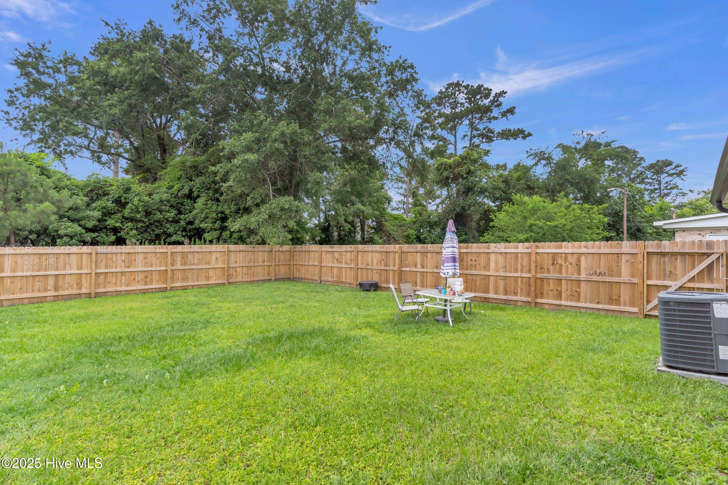 100558659 | Photo 17