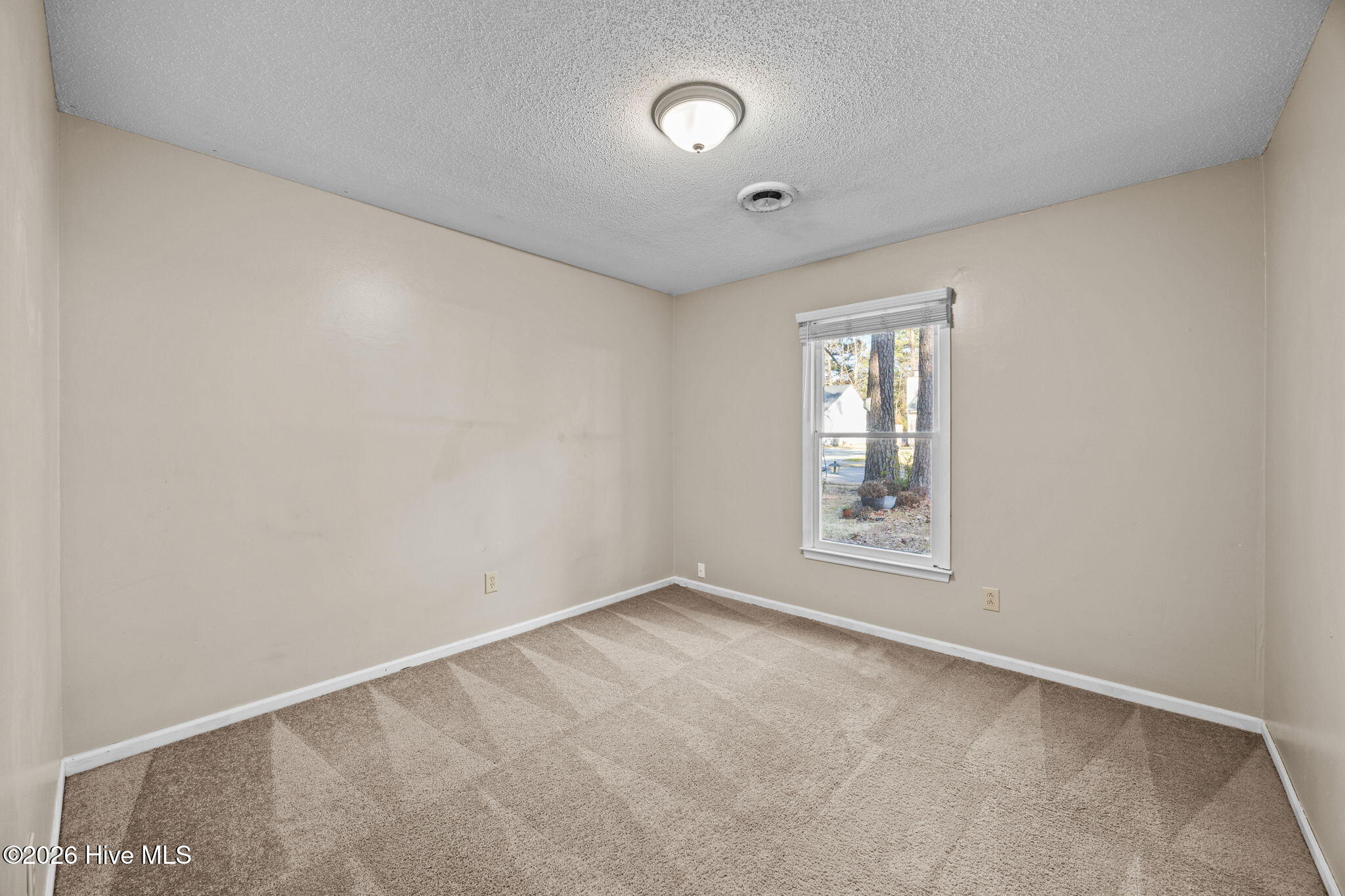 100555422 | Photo 12