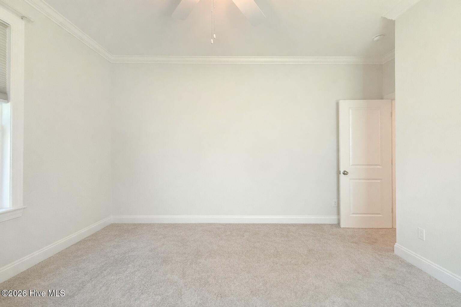 100567915 | Photo 63