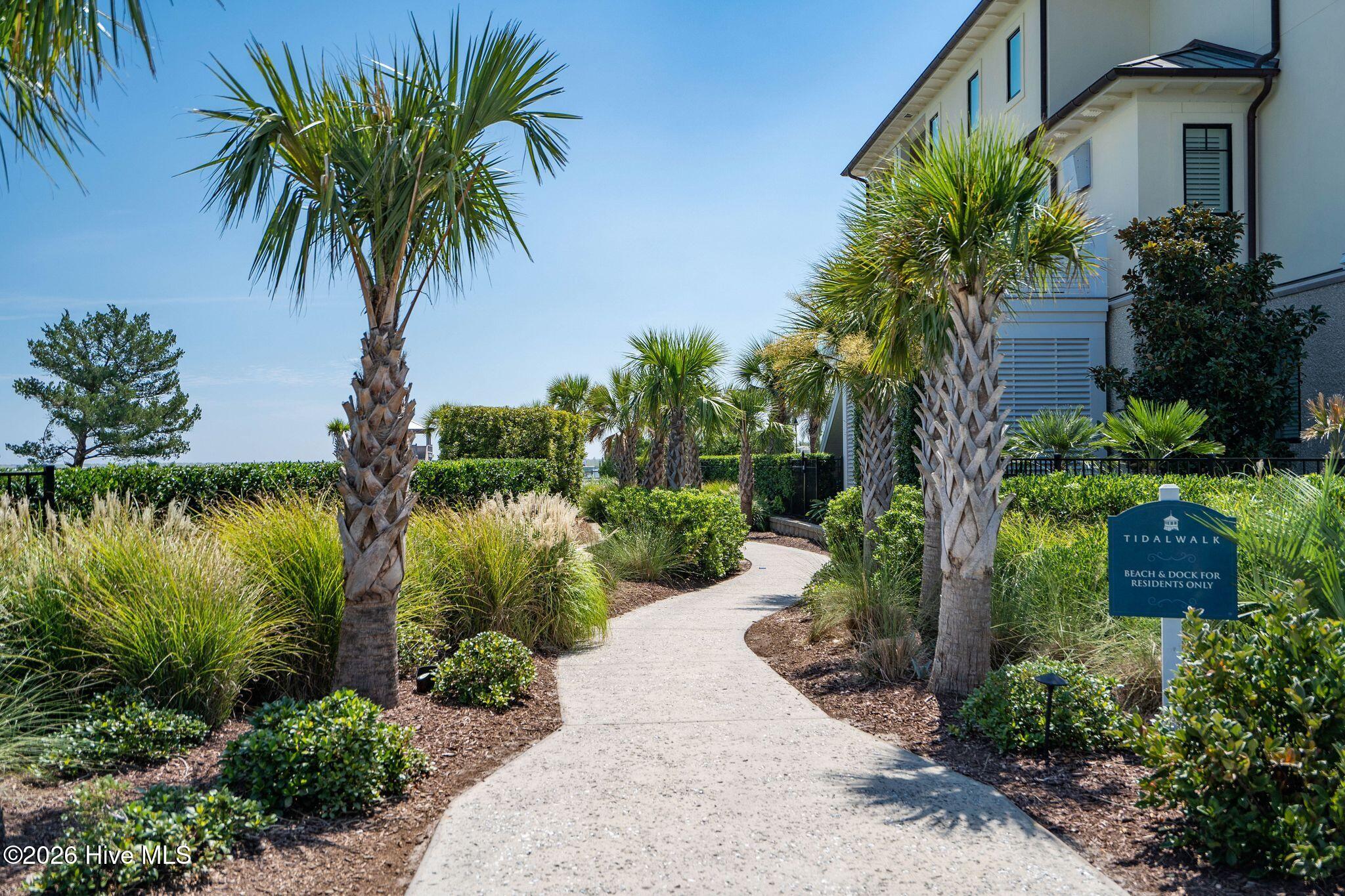 100566461 | Photo 54