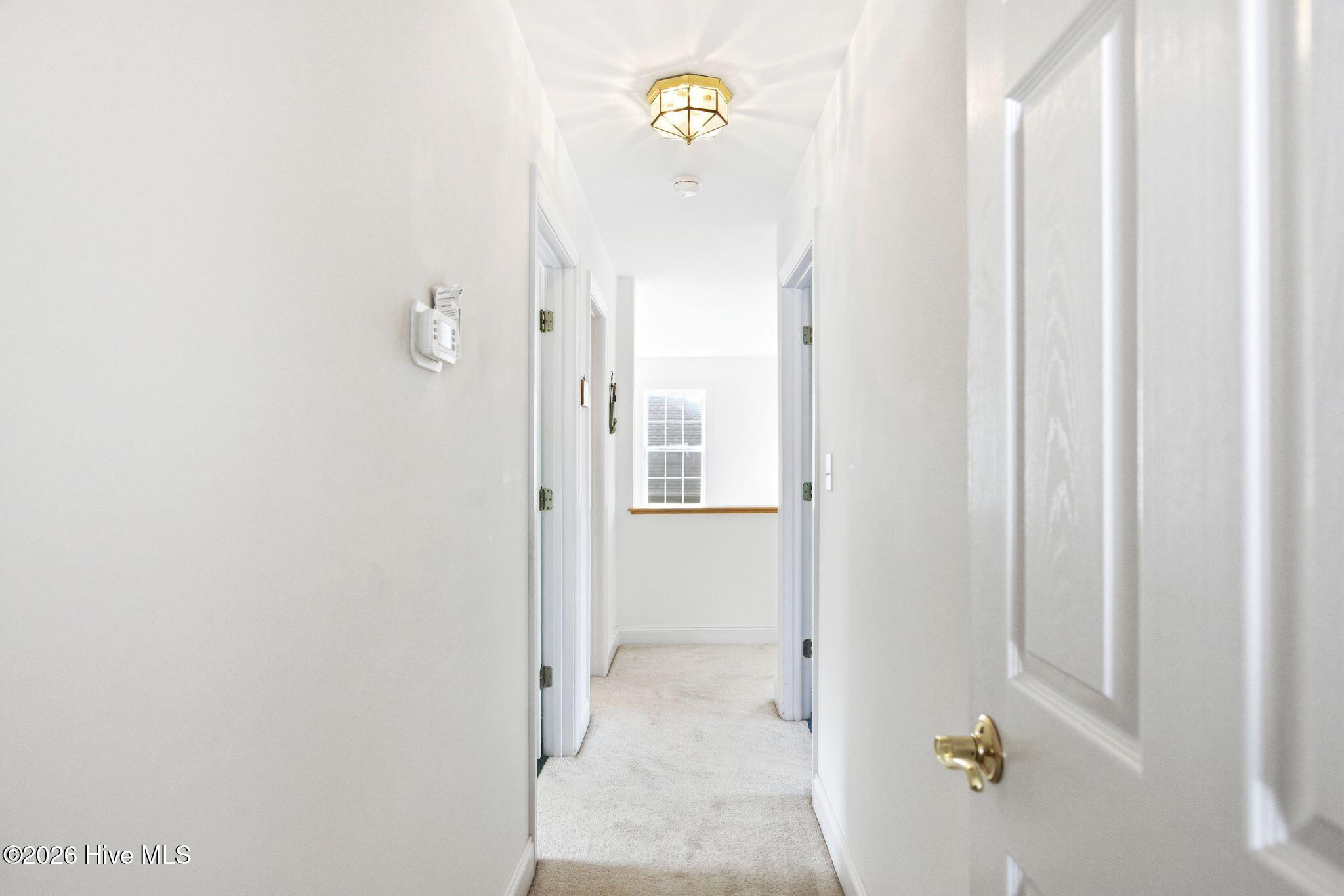 100564291 | Photo 44