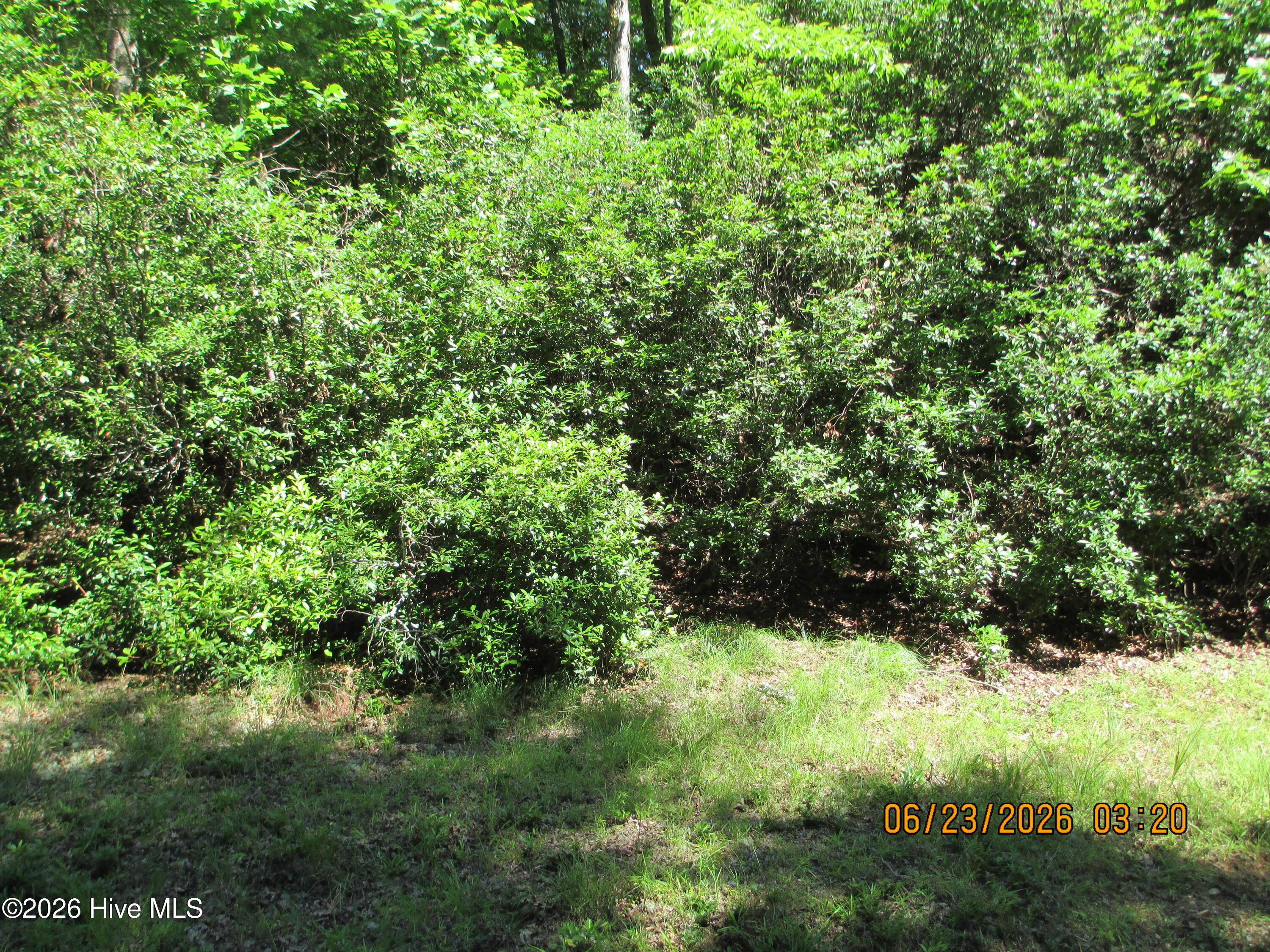 Back of property