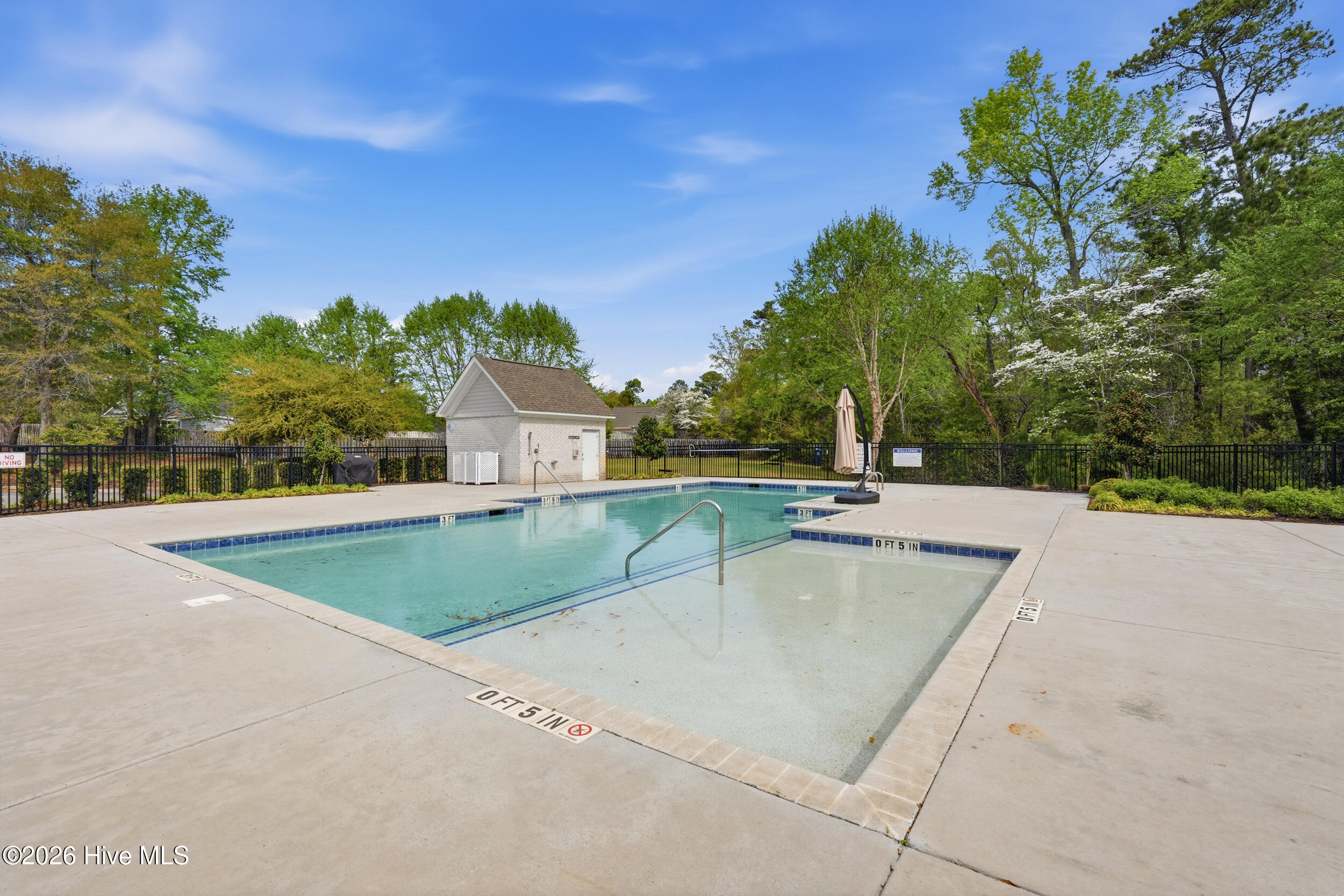 100565388 | Photo 87