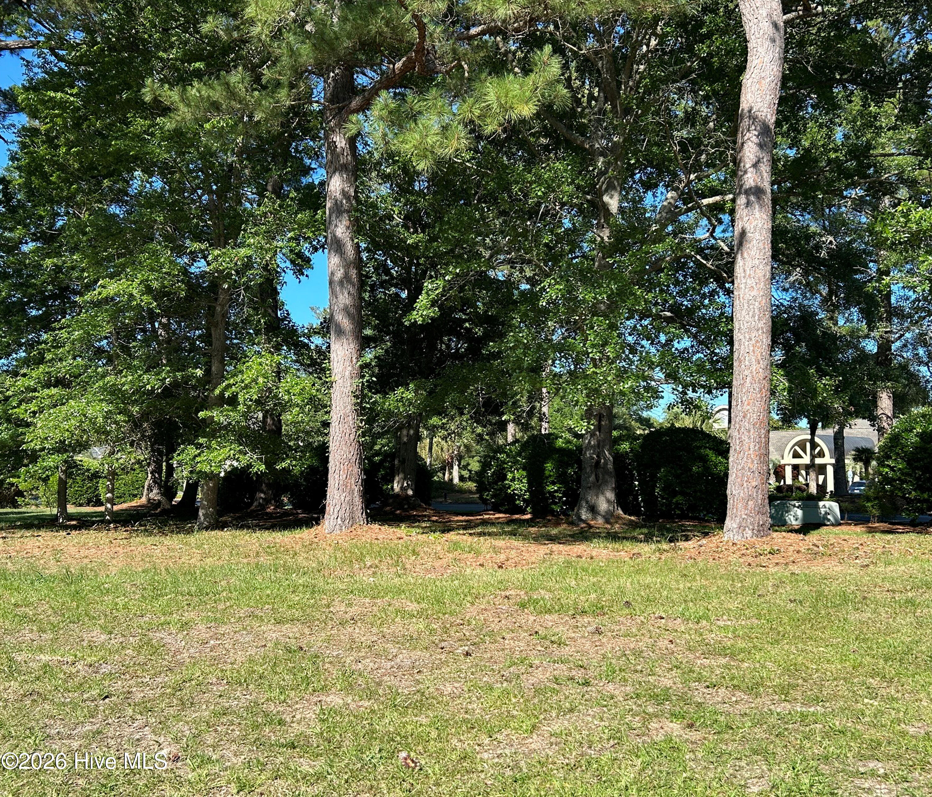 Shirley Johnson - MLS Number: 100575376