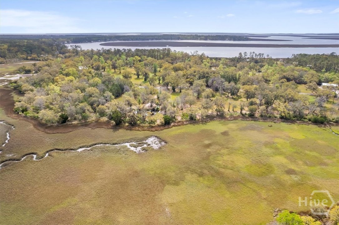 LOT 4 Bermuda Bluff Lane, Midway, GA, 31320