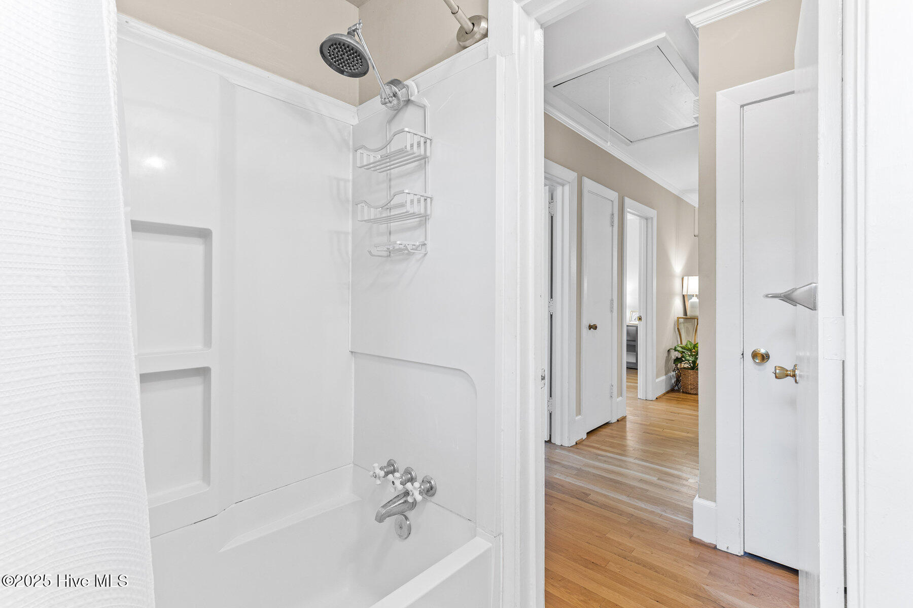 305 Wayne Drive, Wilmington, NC 28403 – photo 19: 026_305_wayne_drive_-26_251