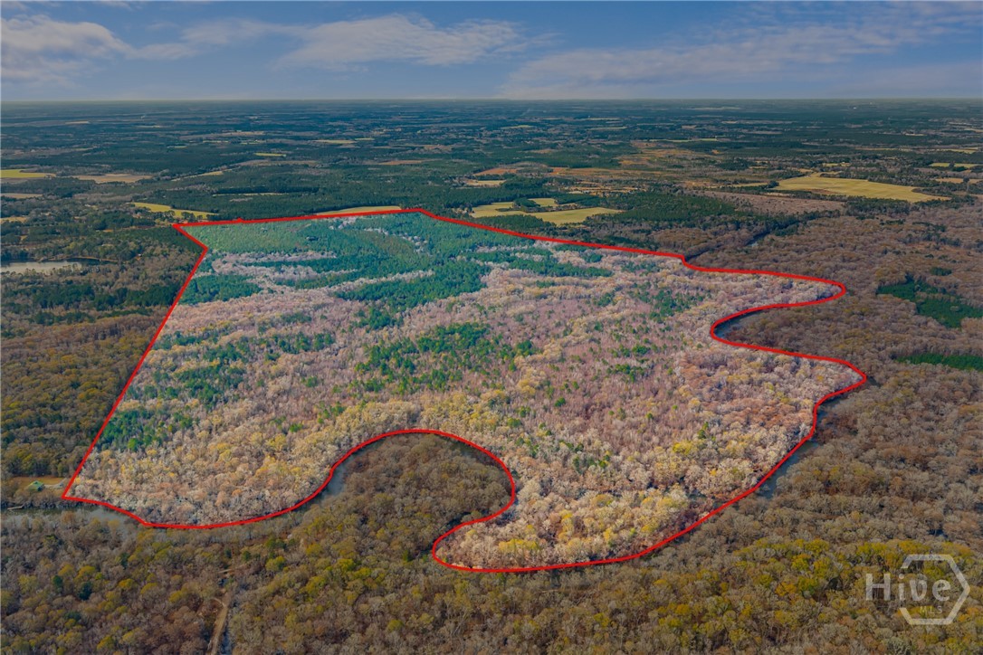 1000 Old River Road S, Brooklet, GA, 30415