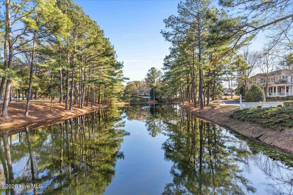 100549315 | Photo 16