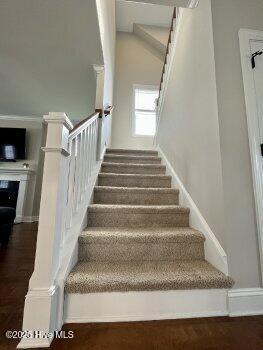 100539488 | Photo 25