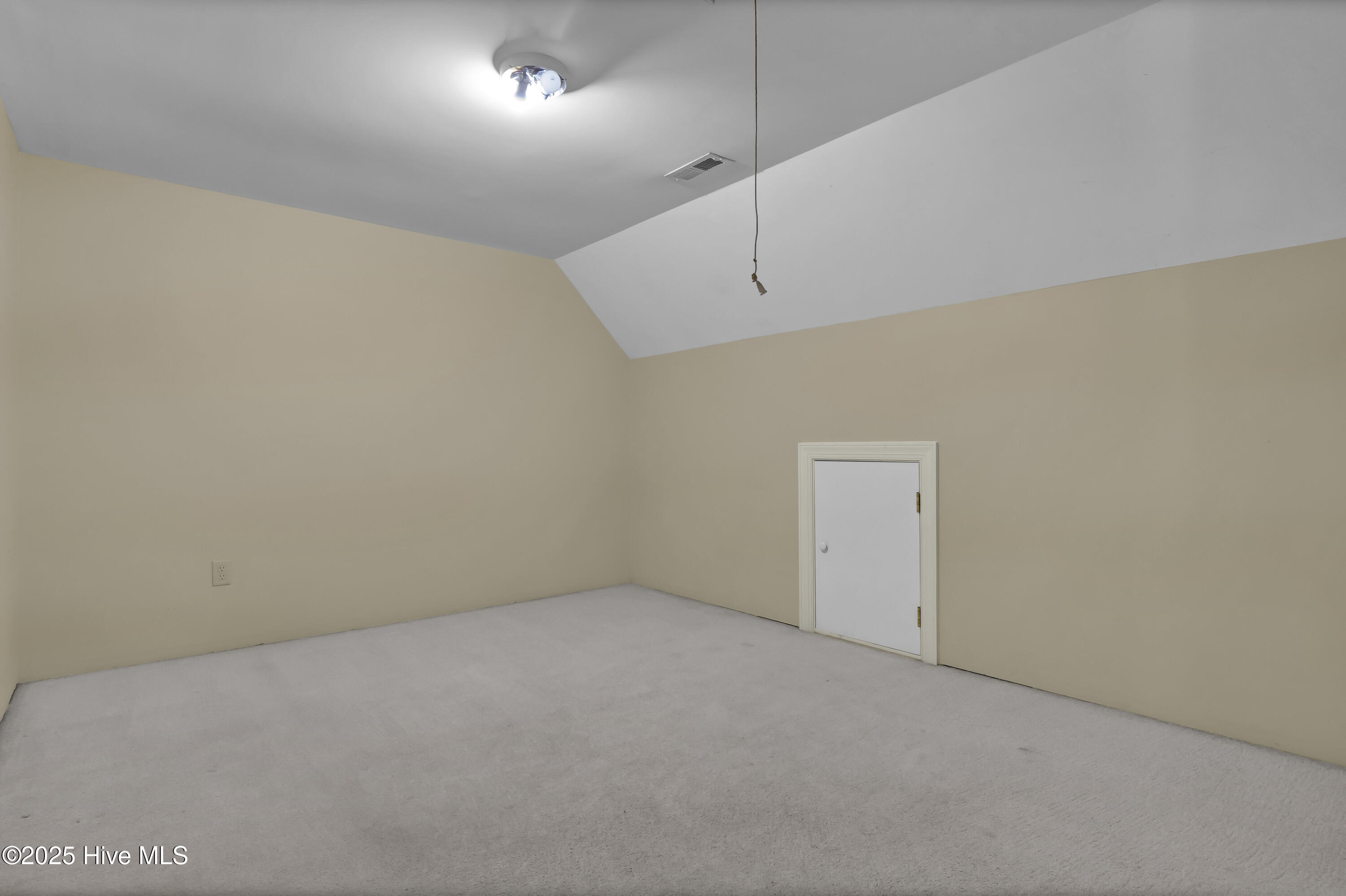 100535642 | Photo 47