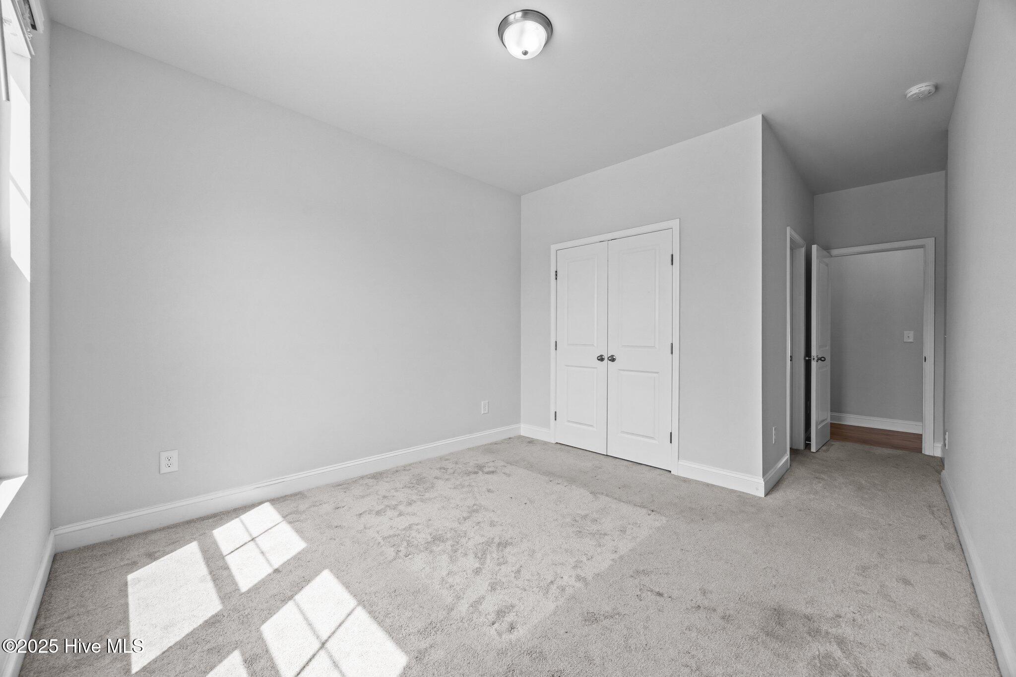 100503242 | Photo 22