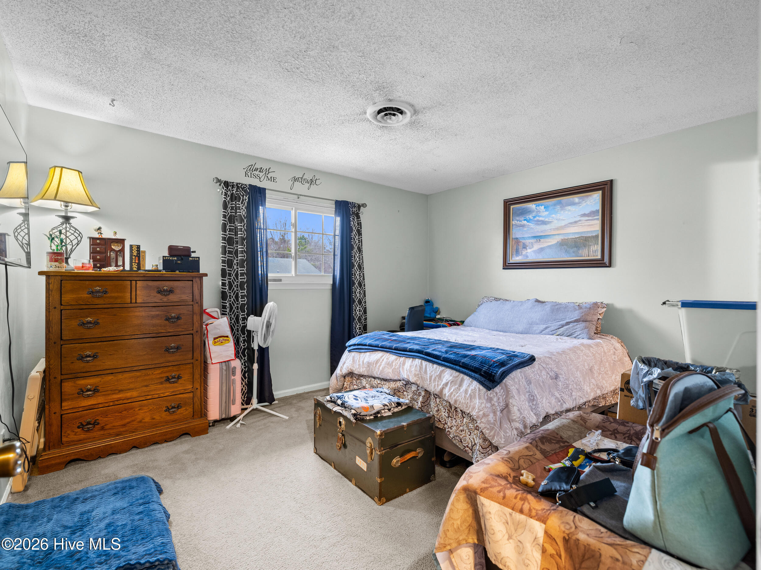 100556256 | Photo 18