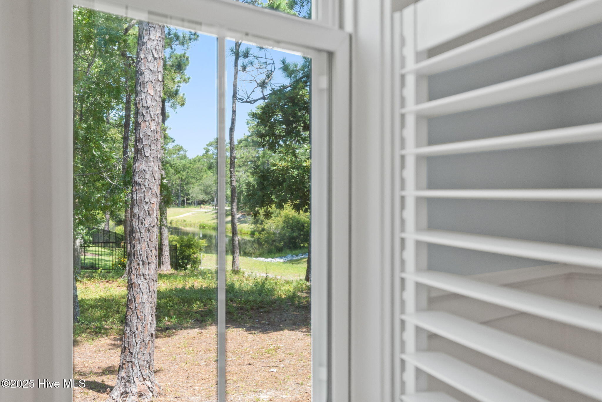 100516887 | Photo 16