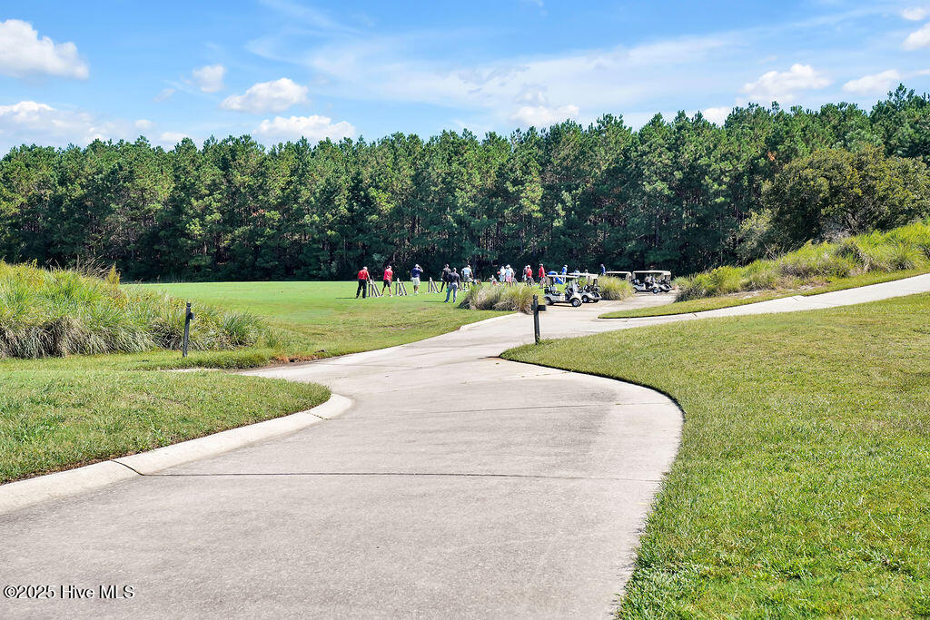 100535984 | Photo 119