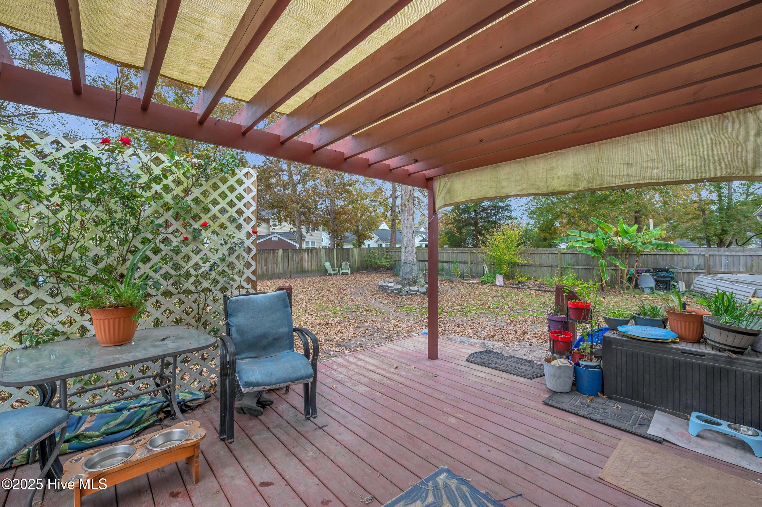 100540534 | Photo 34